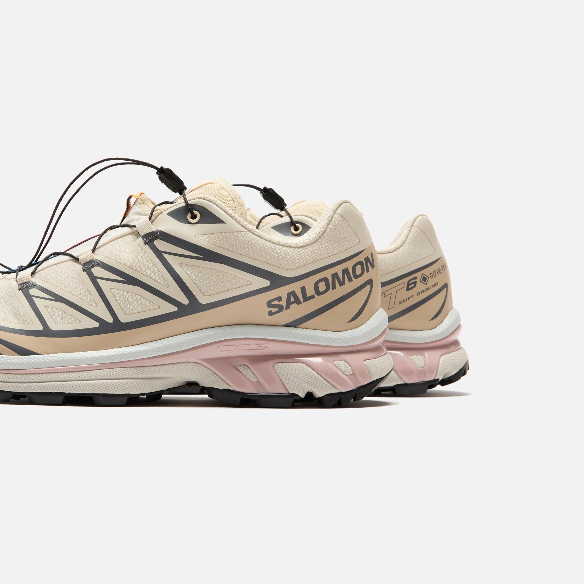 Salomon XT-6 GTX - Almond Milk / Feather Gray / Pale Mauve Male Product Image