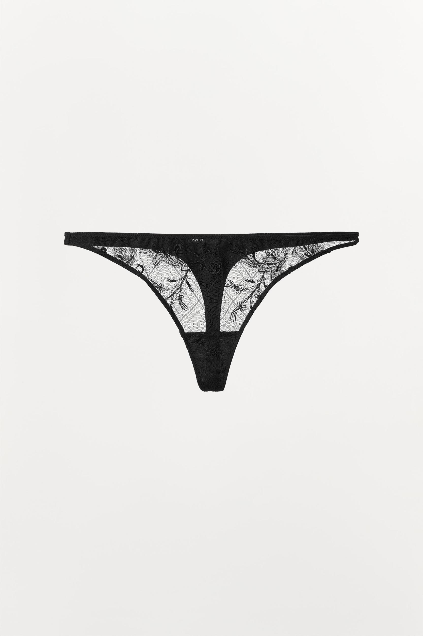 EMBROIDERED LACE PANTIES Product Image
