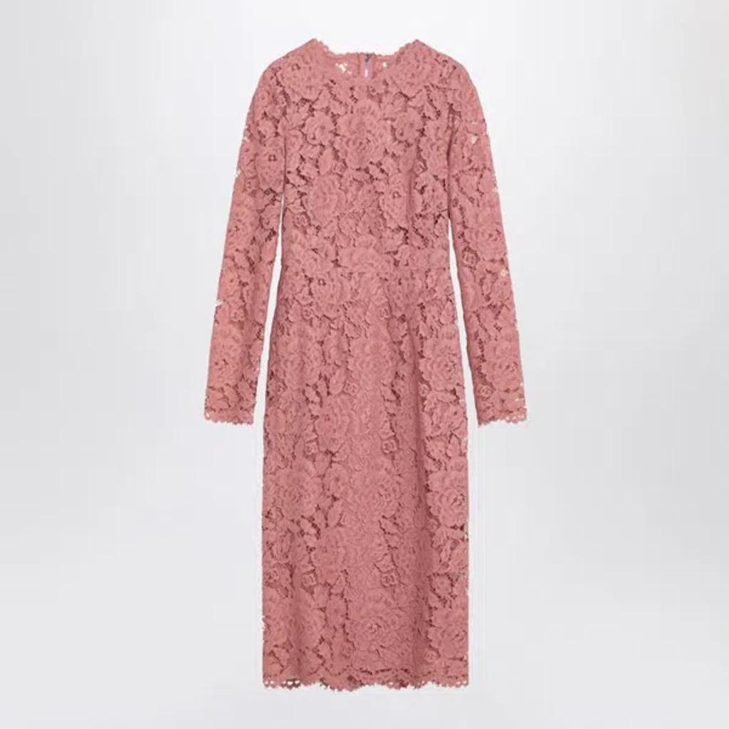 DOLCE & GABBANA Pink Lace Tube Longuette Dress Product Image