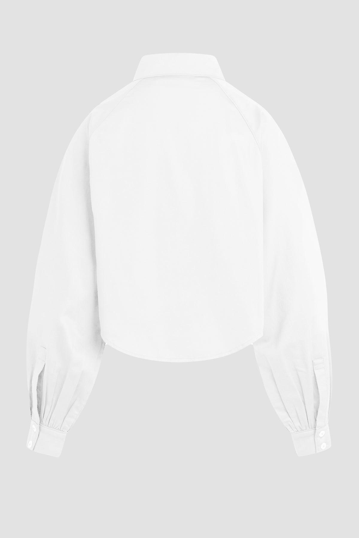 Raglan Balloon Sleeve Button Down Shirt Female Product Image