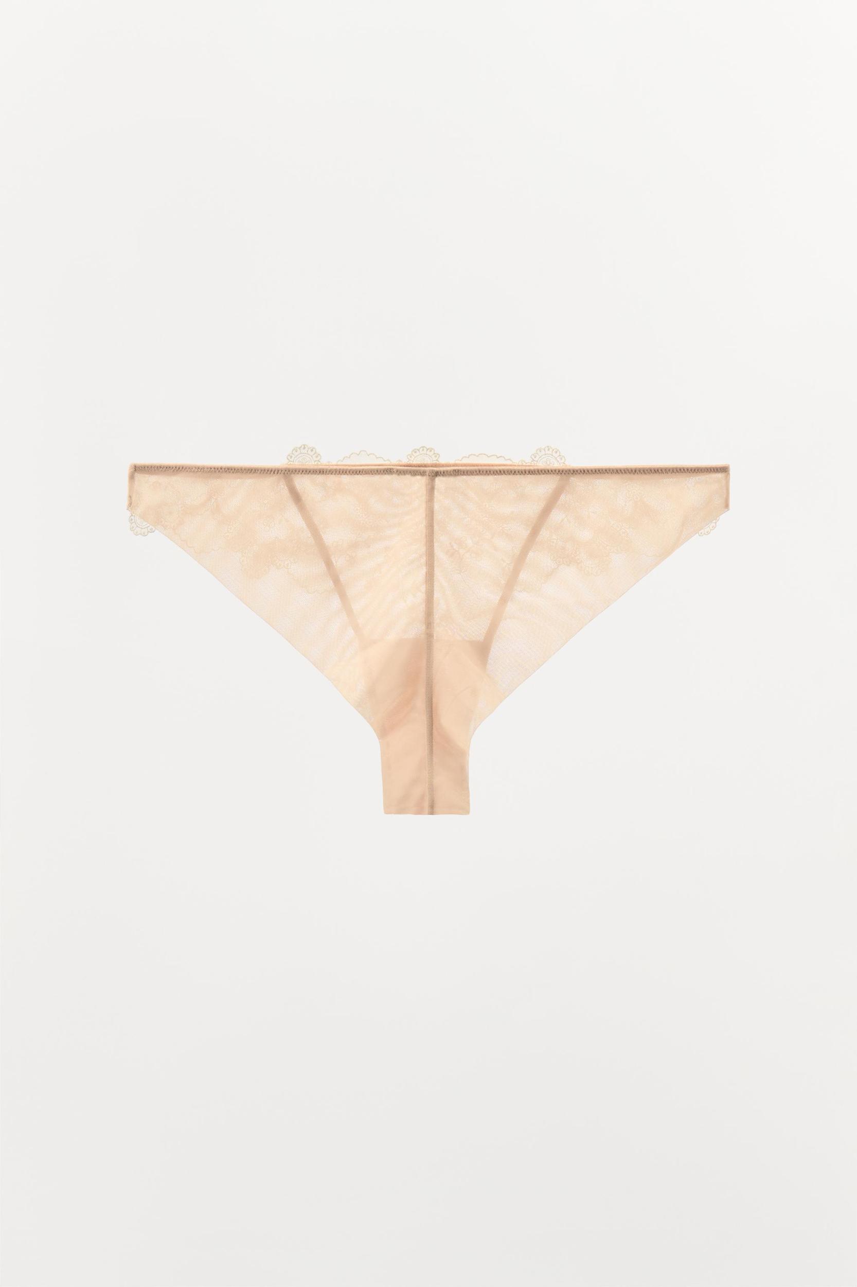 EMBROIDERED MESH PANTIES Product Image
