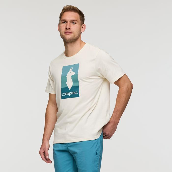 Llama Block T-Shirt - Men's Product Image