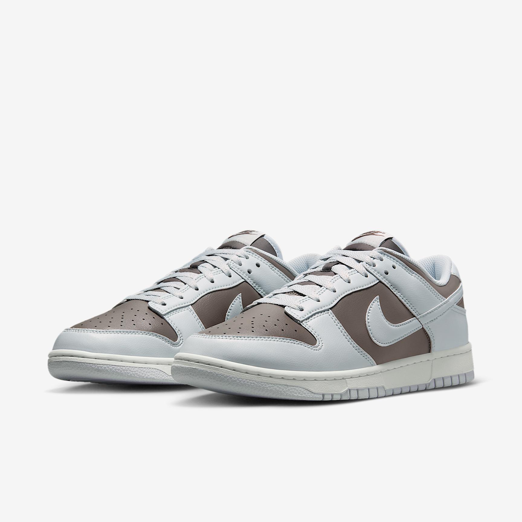 Nike Mens Dunk Low Retro Shoes | HF5441-202 Product Image