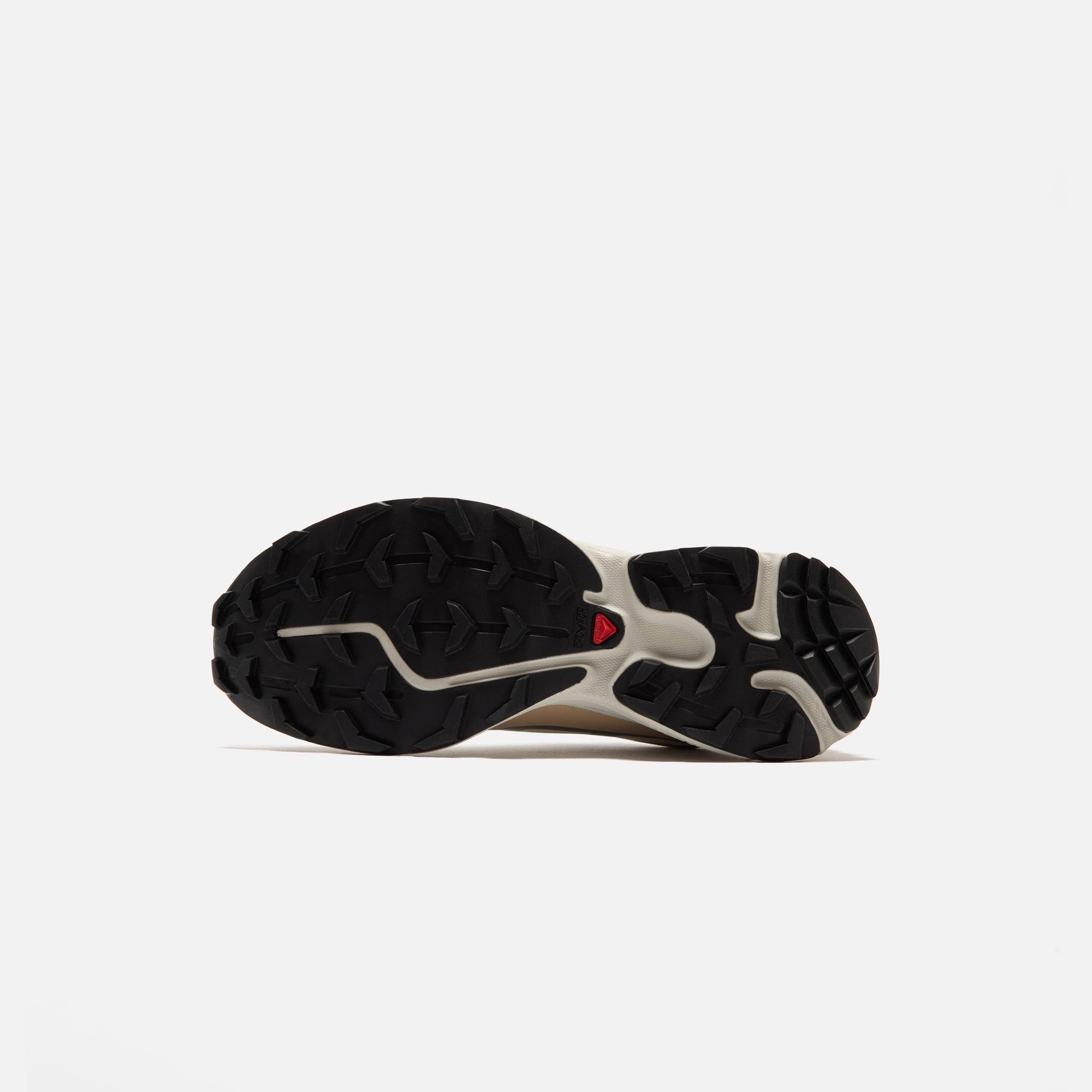 Salomon XT-6 GTX - Almond Milk / Feather Gray / Pale Mauve Male Product Image