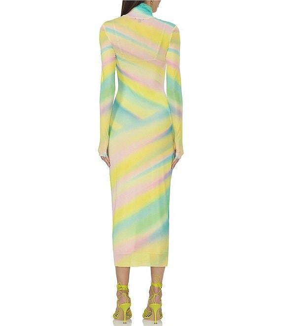 AFRM Shailene Printed Mesh Turtleneck Long Sleeve Midi Dress Product Image