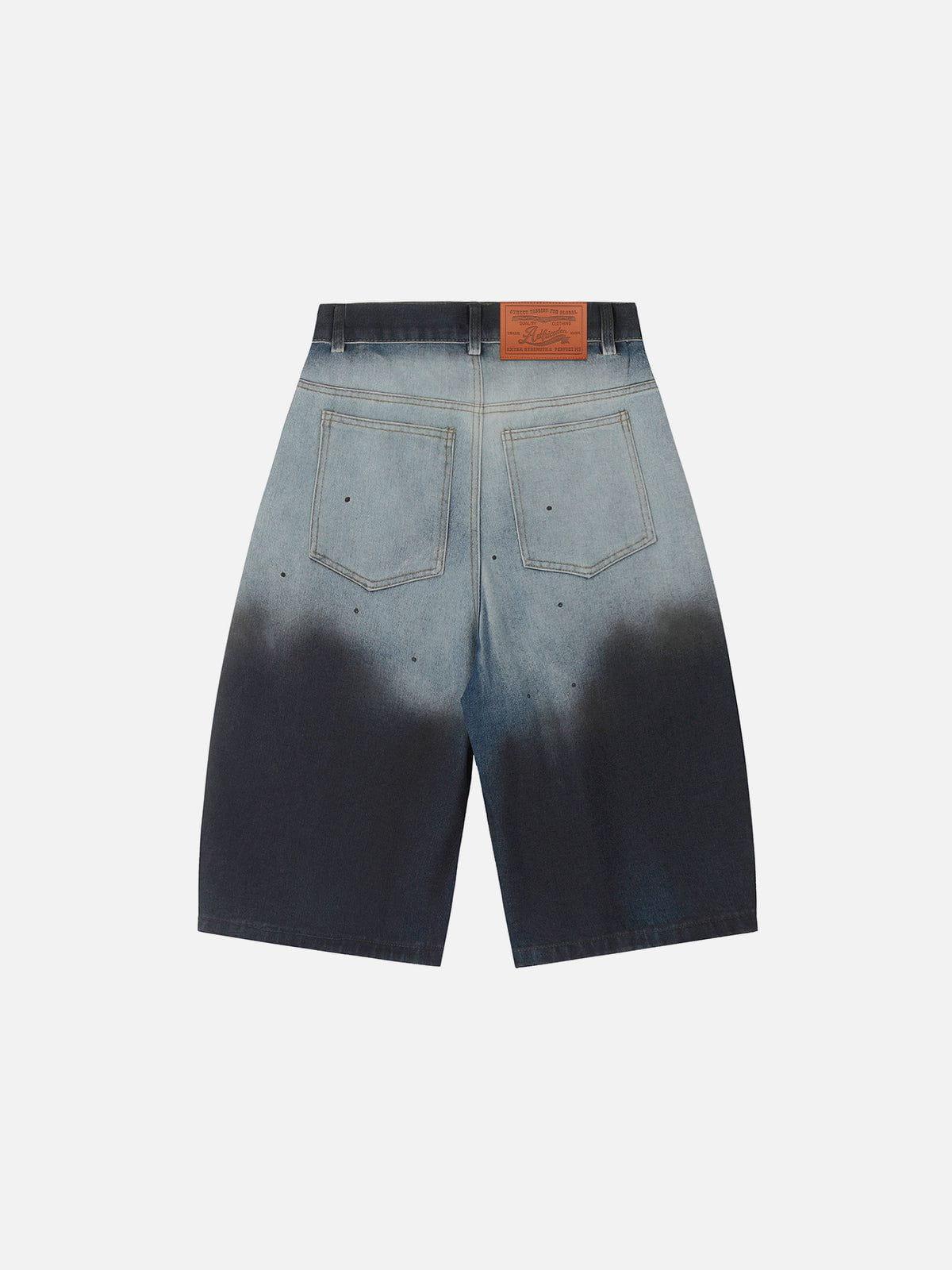 Aelfric Eden Gradient Longline Jorts Product Image