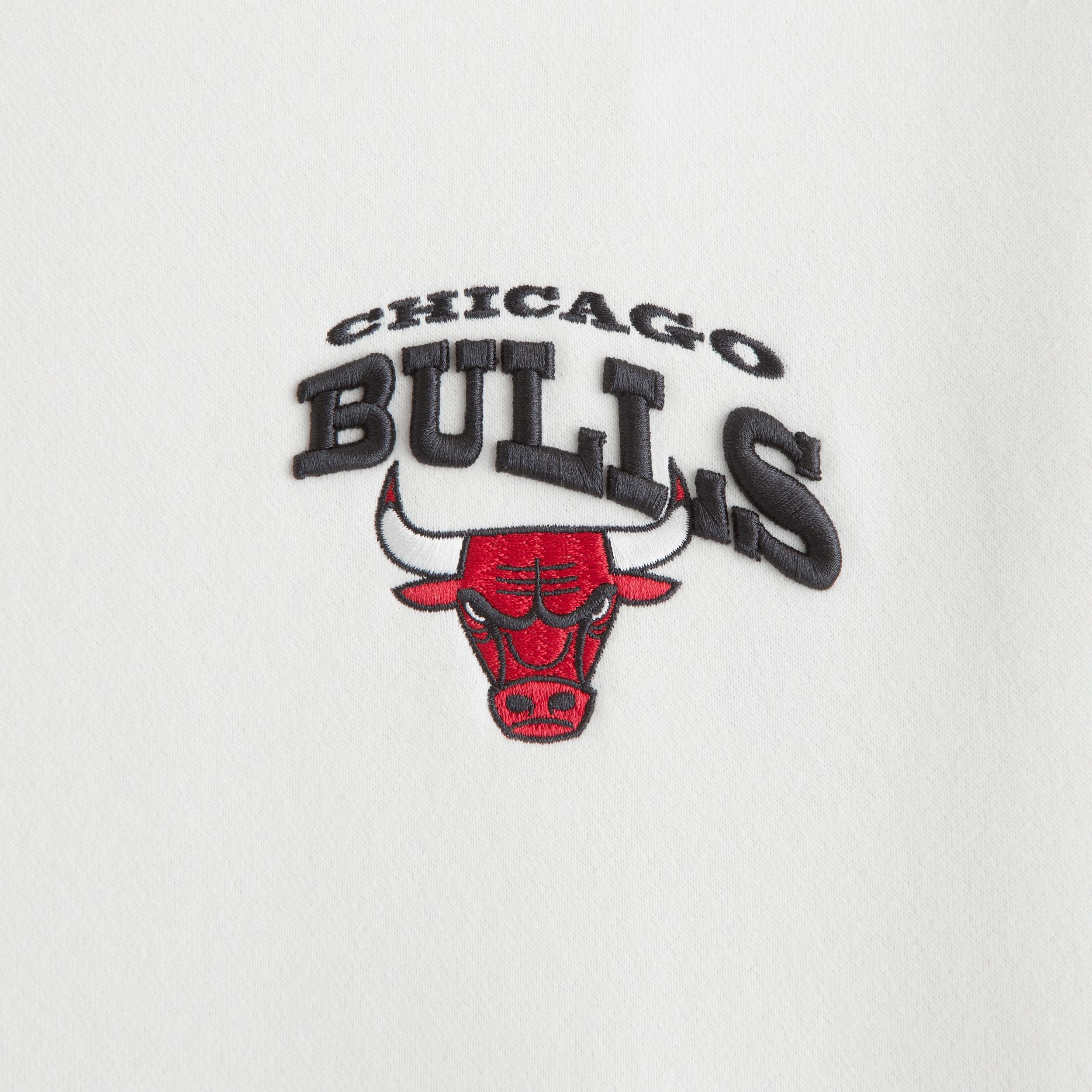 Chicago Bulls Graphic Popover Hoodie Product Image