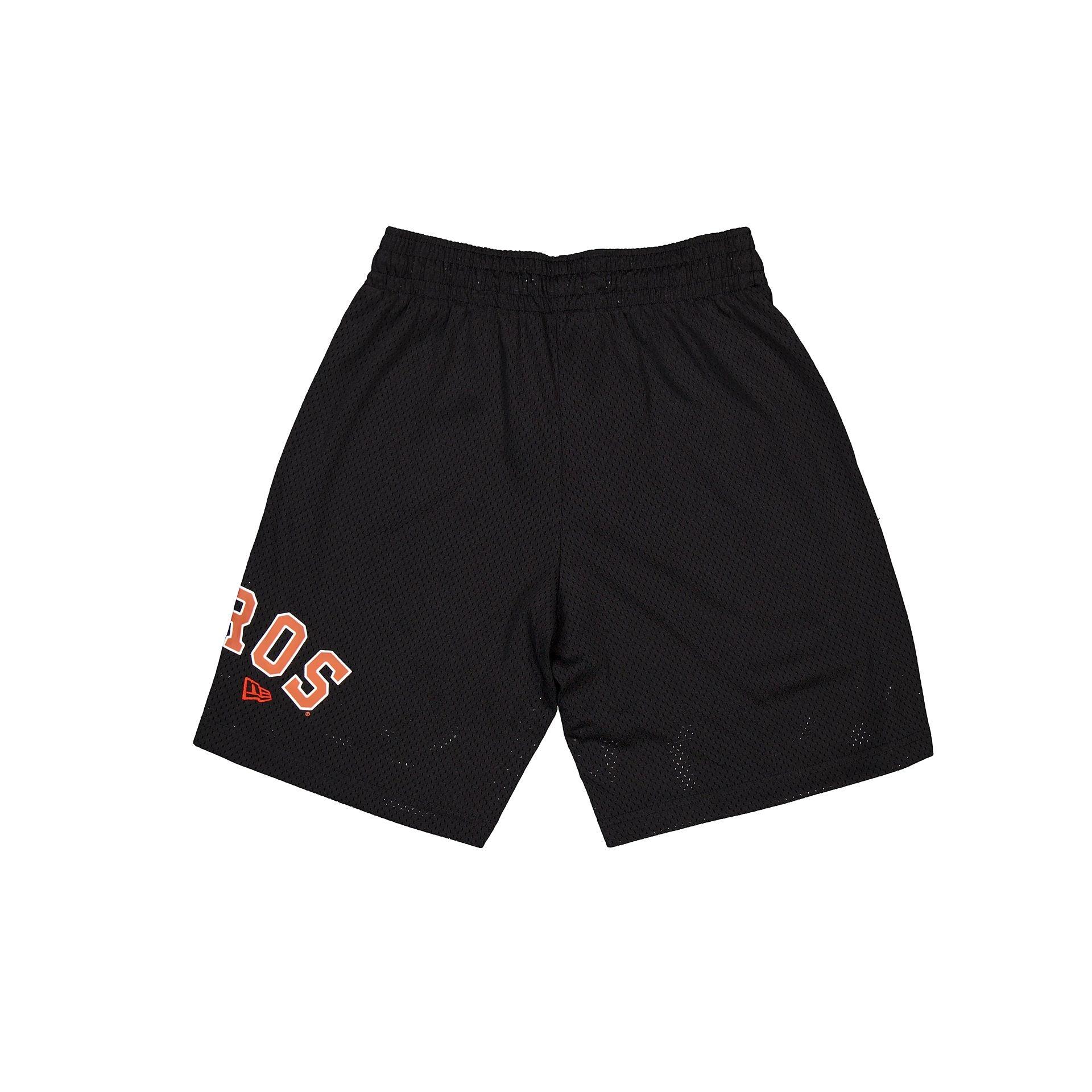 Houston Astros Mesh Shorts Male Product Image
