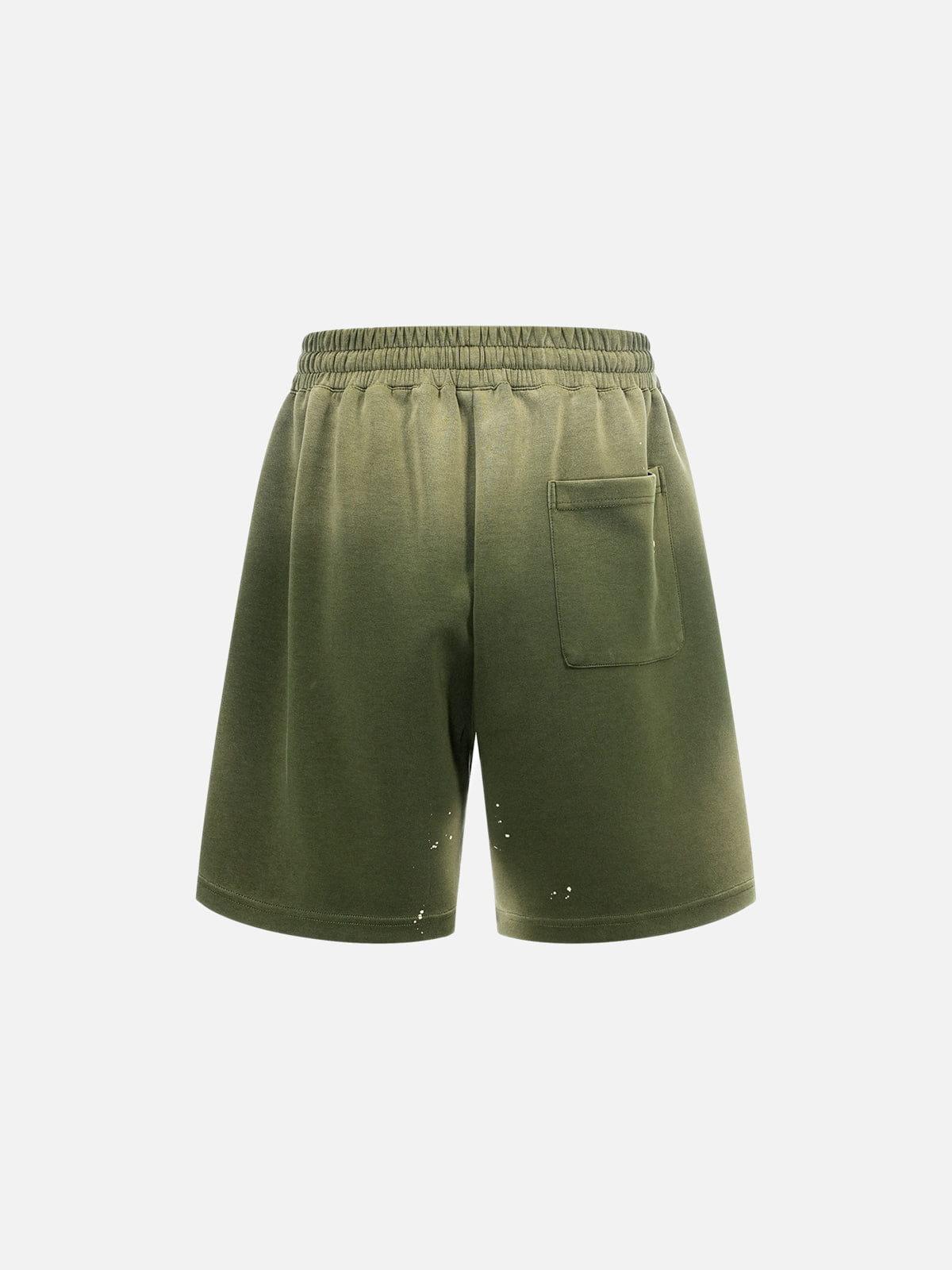 Aelfric Eden Washed Paint Splatter Shorts Product Image