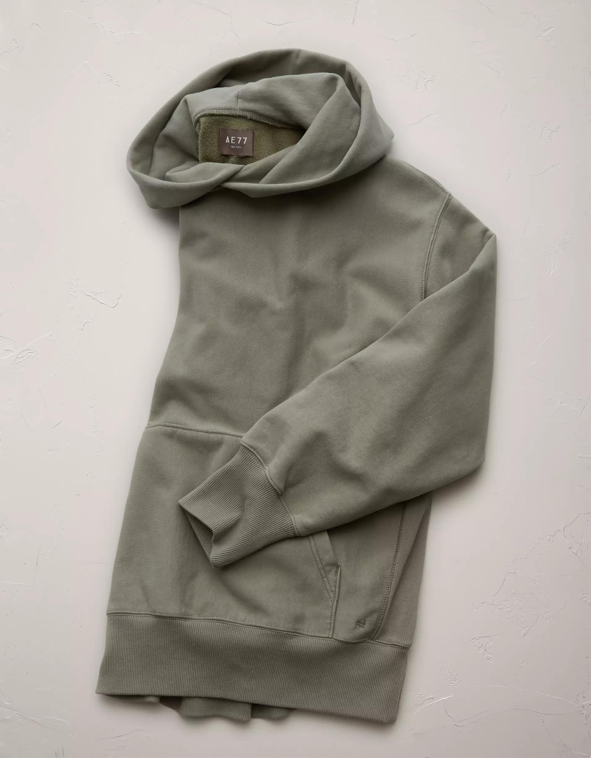 AE77 Premium Fleece Hoodie Product Image