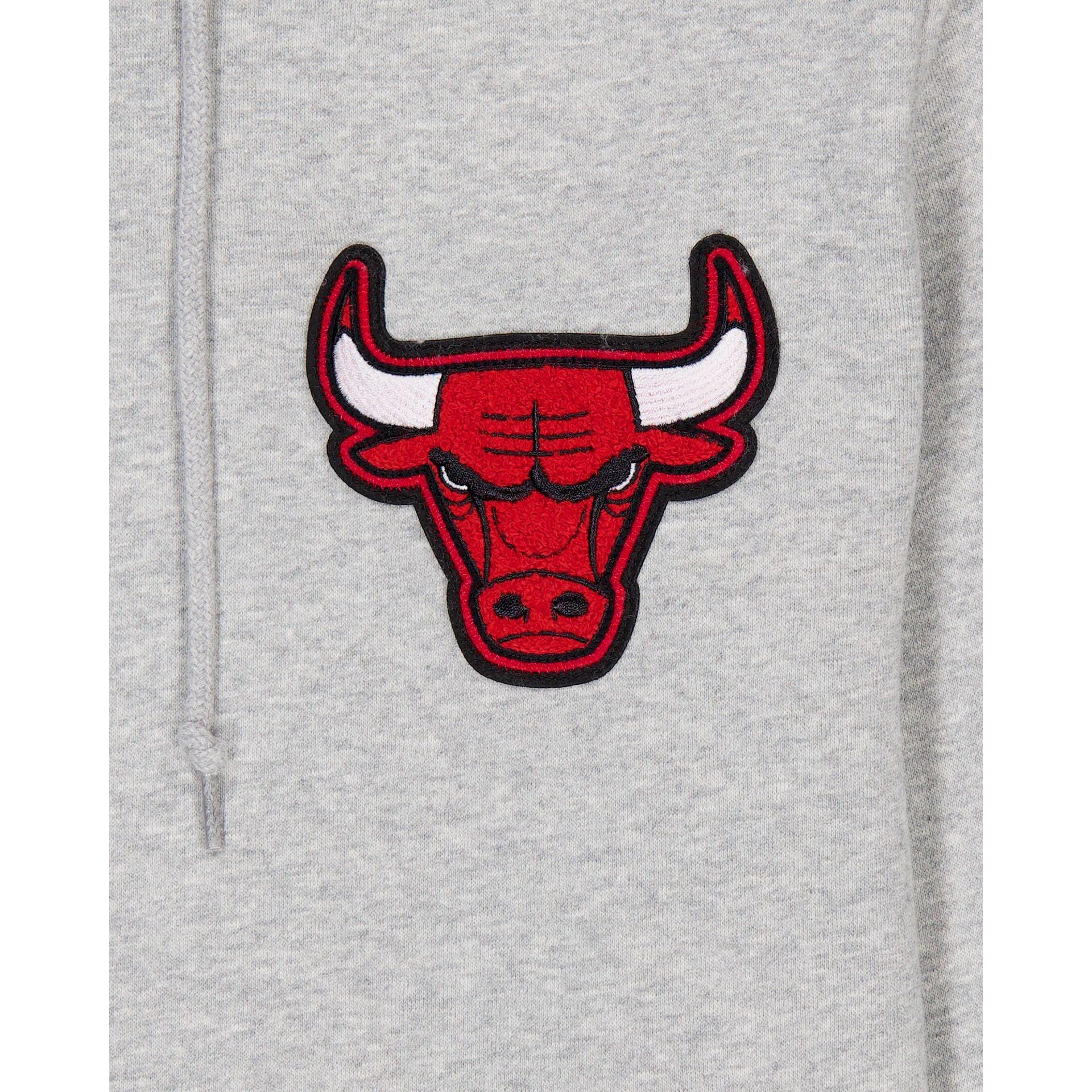 Chicago Bulls Gray Logo Select Full-Zip Hoodie Male Product Image
