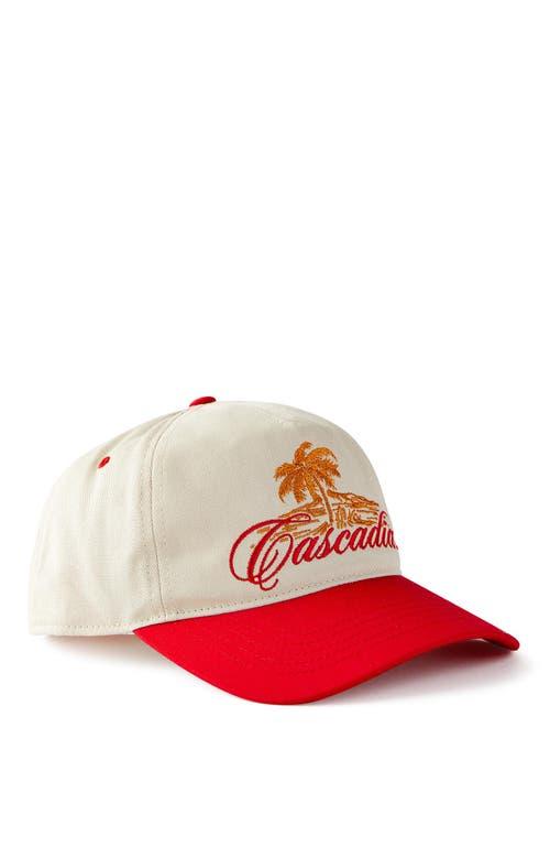 Cotton On Men's 5 Panel Hat in Bone Cherry Red Cascadia at Nordstrom Product Image