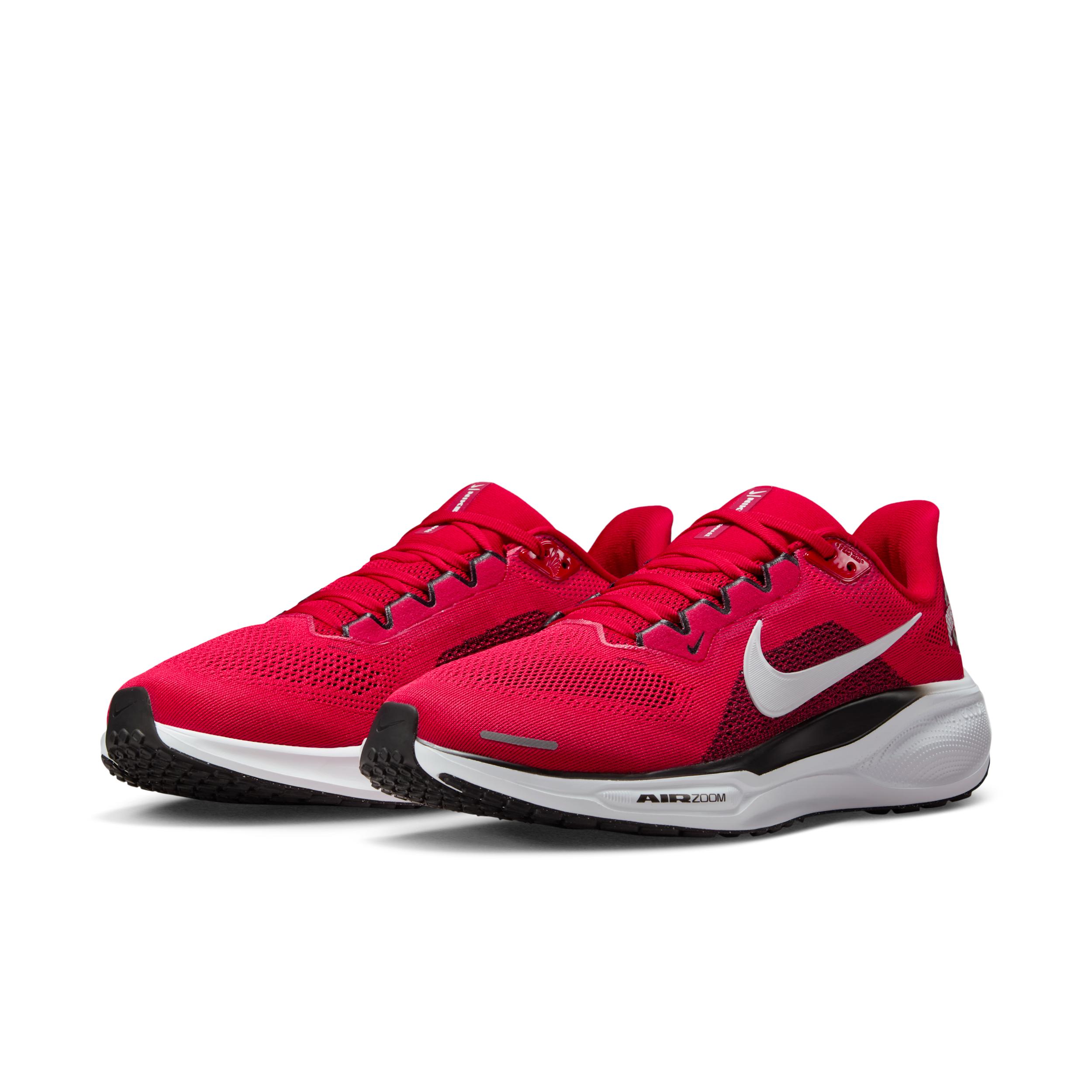 Ohio State Pegasus 41 Nike Mens College Road Running Shoes | IB3254-600 Product Image