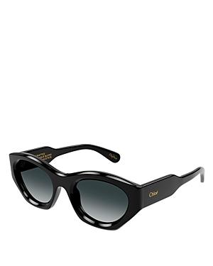 Womens Gayia 53MM Acetate Cat-Eye Sunglasses Product Image