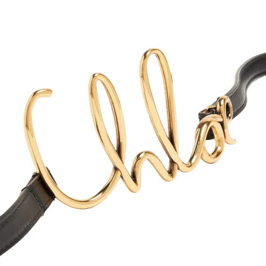 Iconic Small buckle belt Product Image