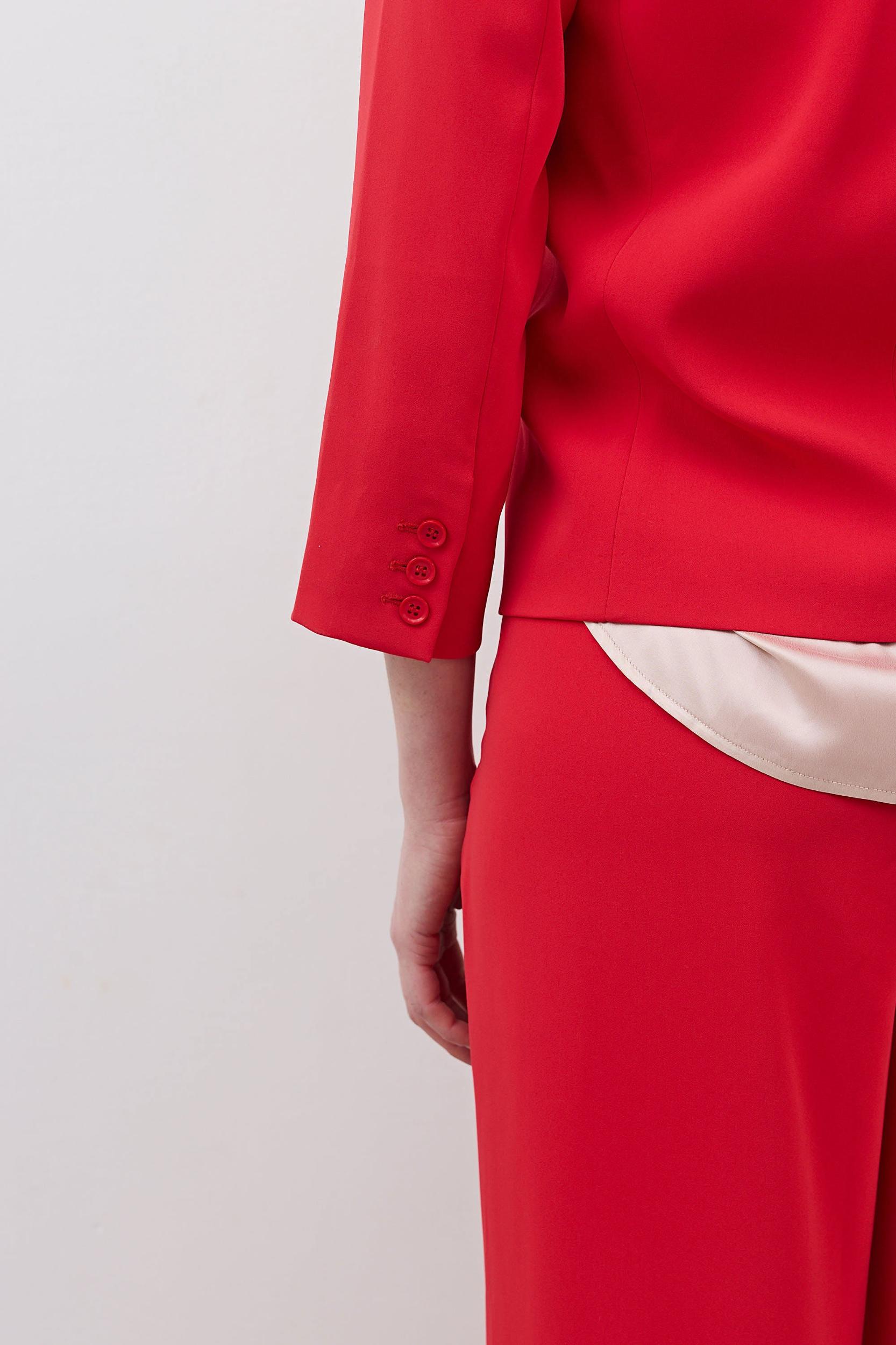 The Shrunken Blazer Product Image