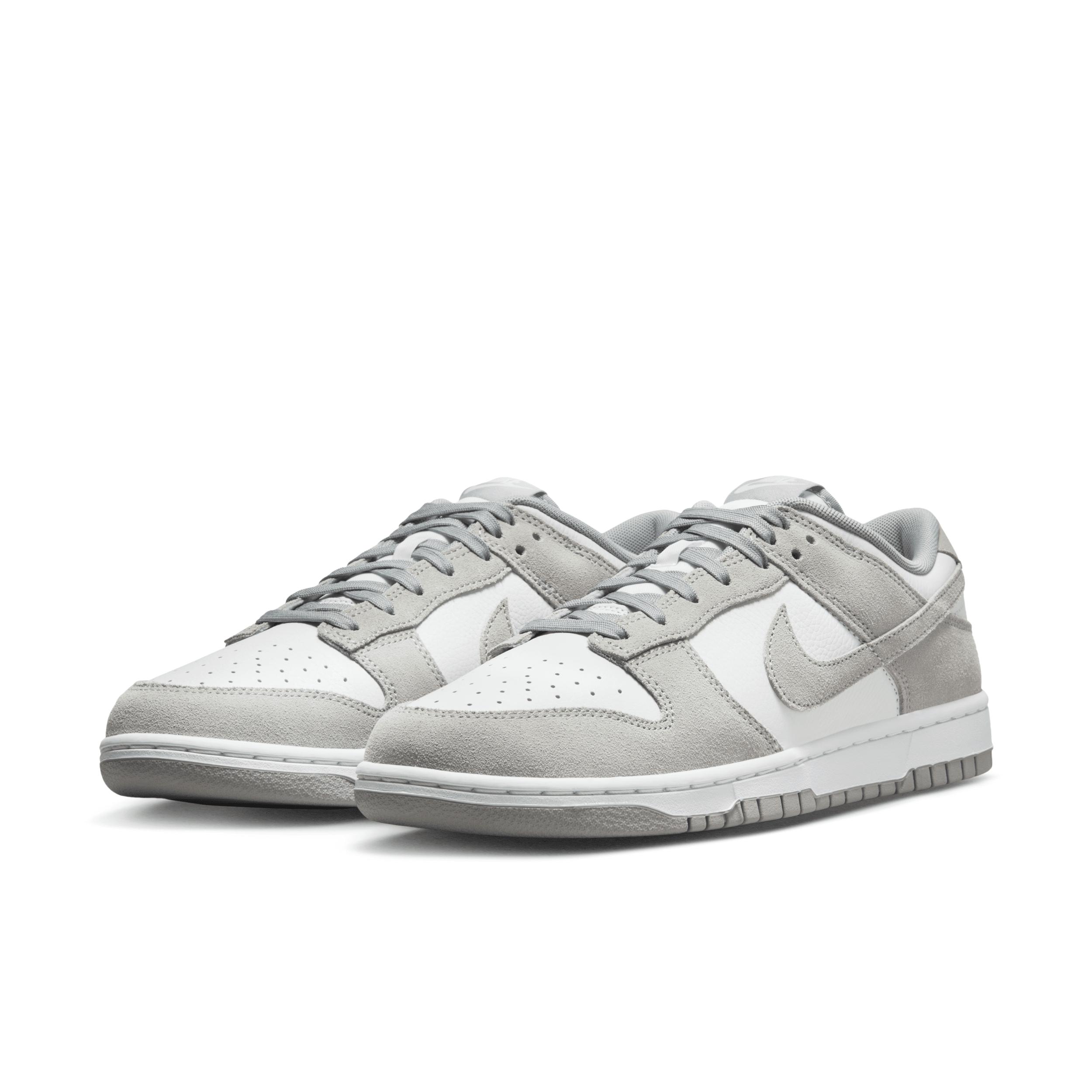 Nike Mens Dunk Low Retro SE Leather/Suede Shoes | FQ8249-101 Product Image