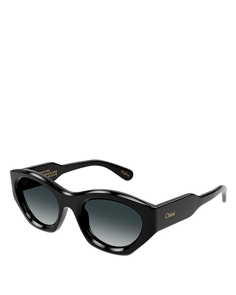 Womens Gayia 53MM Acetate Cat-Eye Sunglasses Product Image
