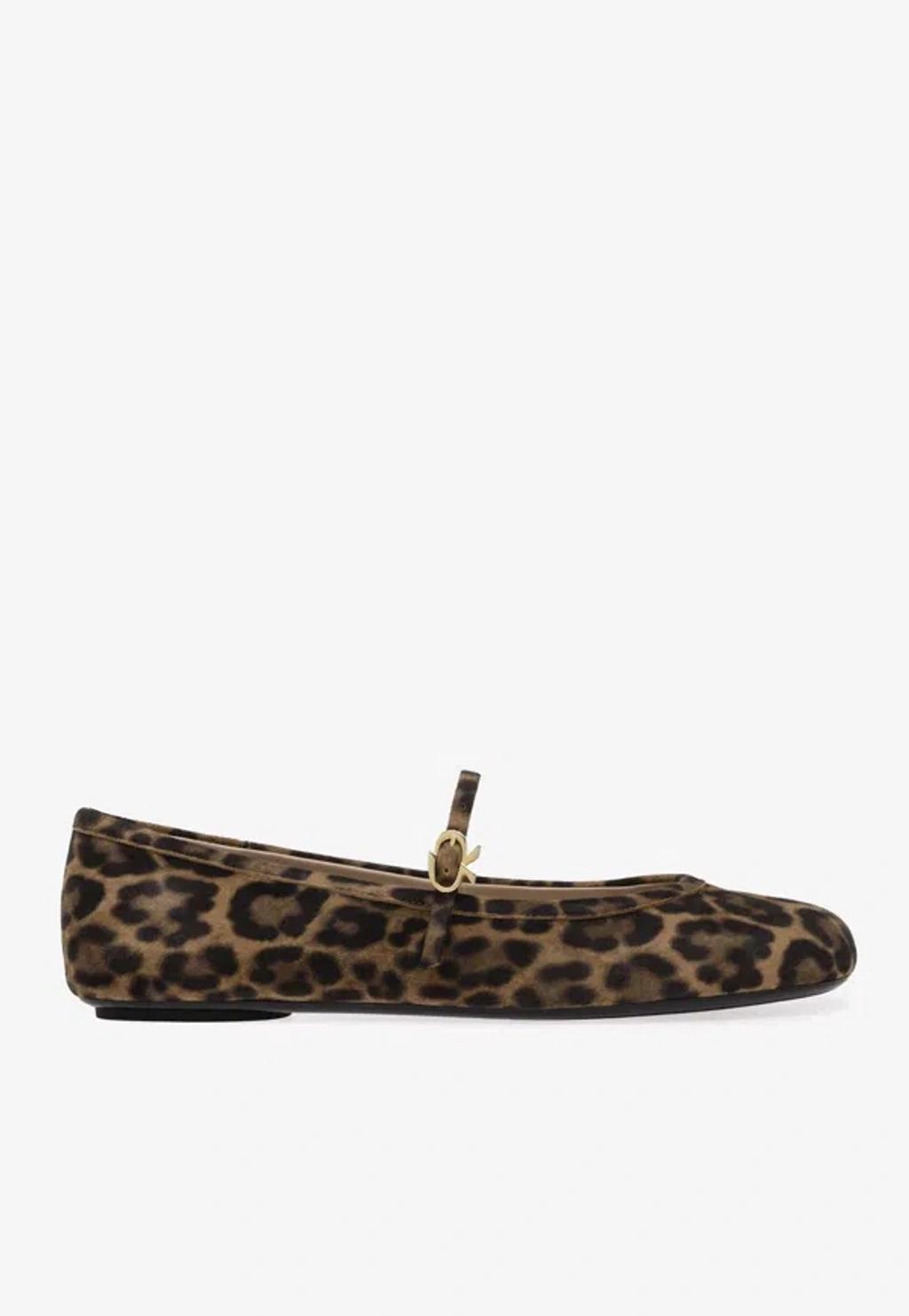 GIANVITO ROSSI Brown Carla Flats In Animal Print Product Image