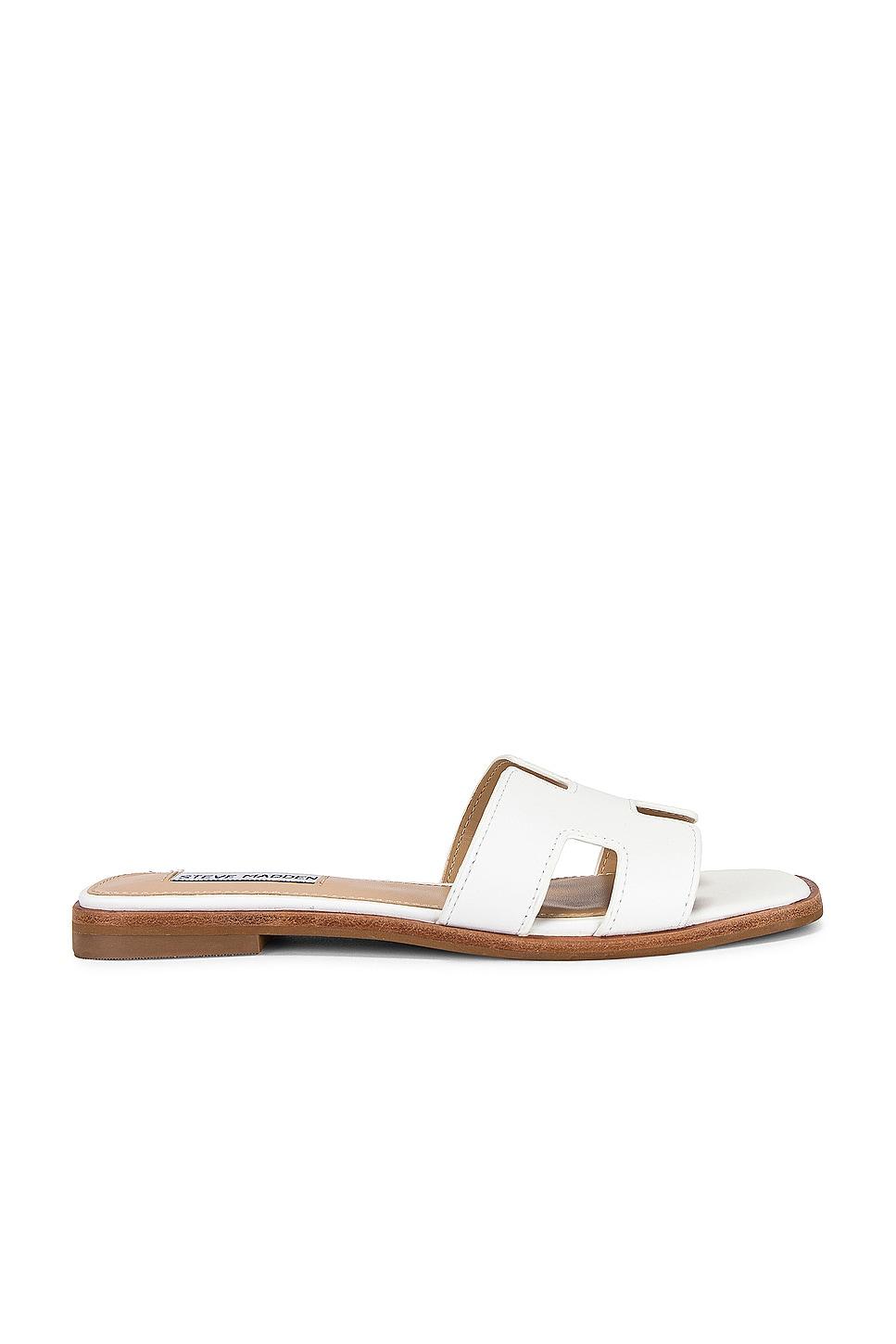 Hadyn Sandal Steve Madden Product Image
