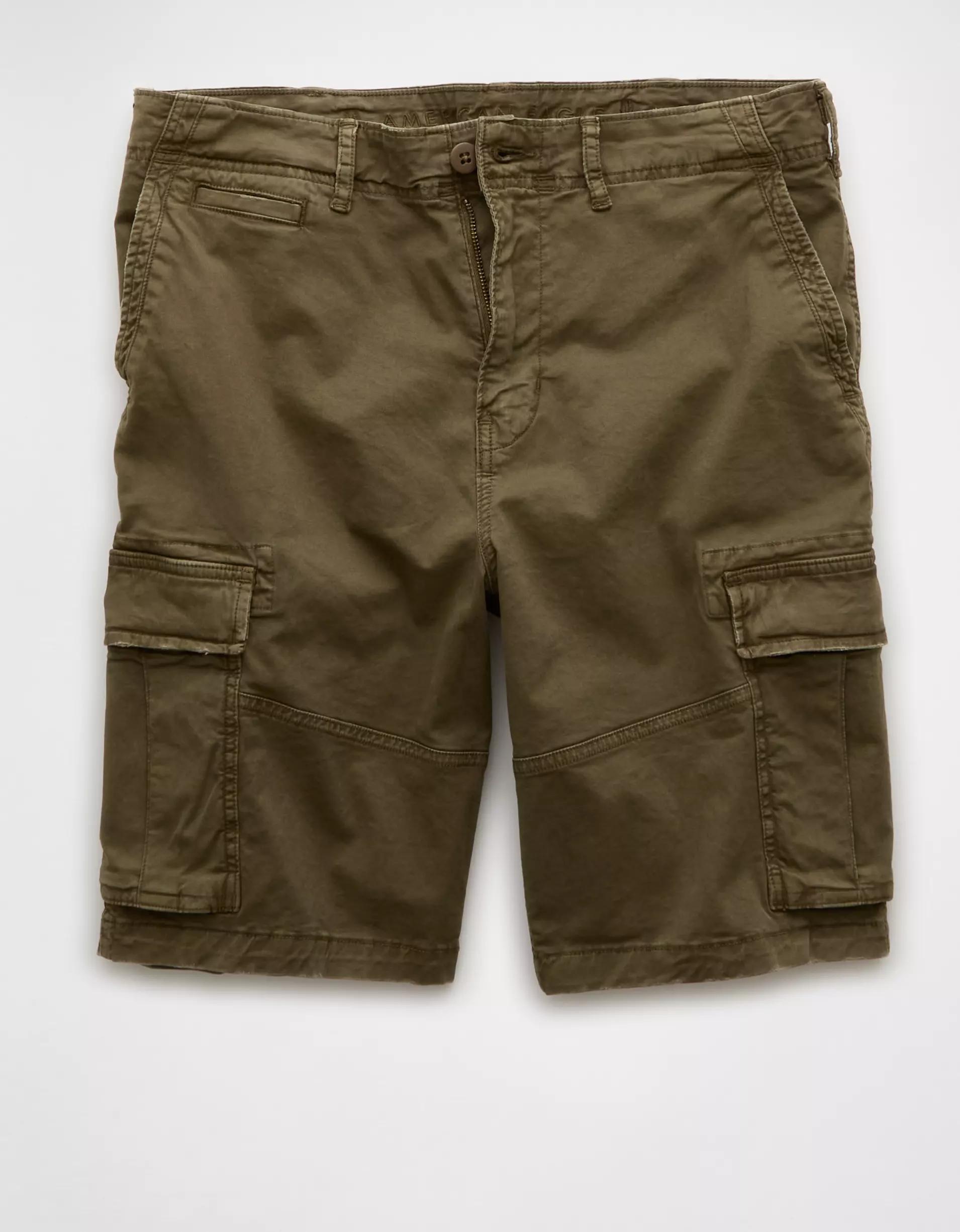 AE 10" Flex Lived-In Cargo Short Product Image
