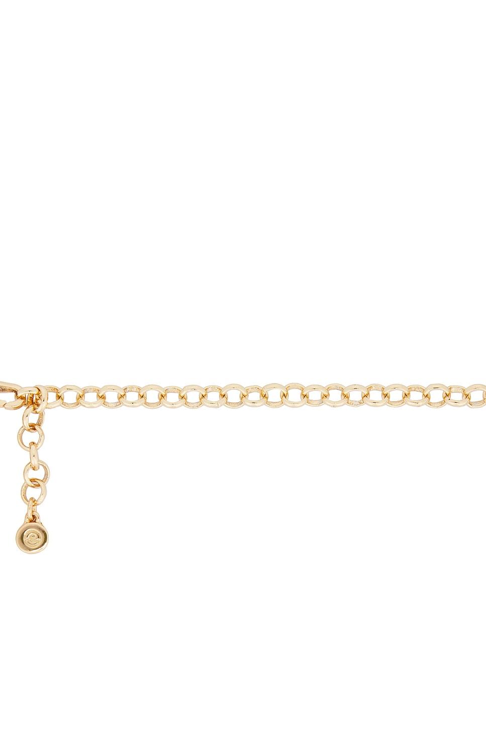 Choker Necklace Ettika Product Image