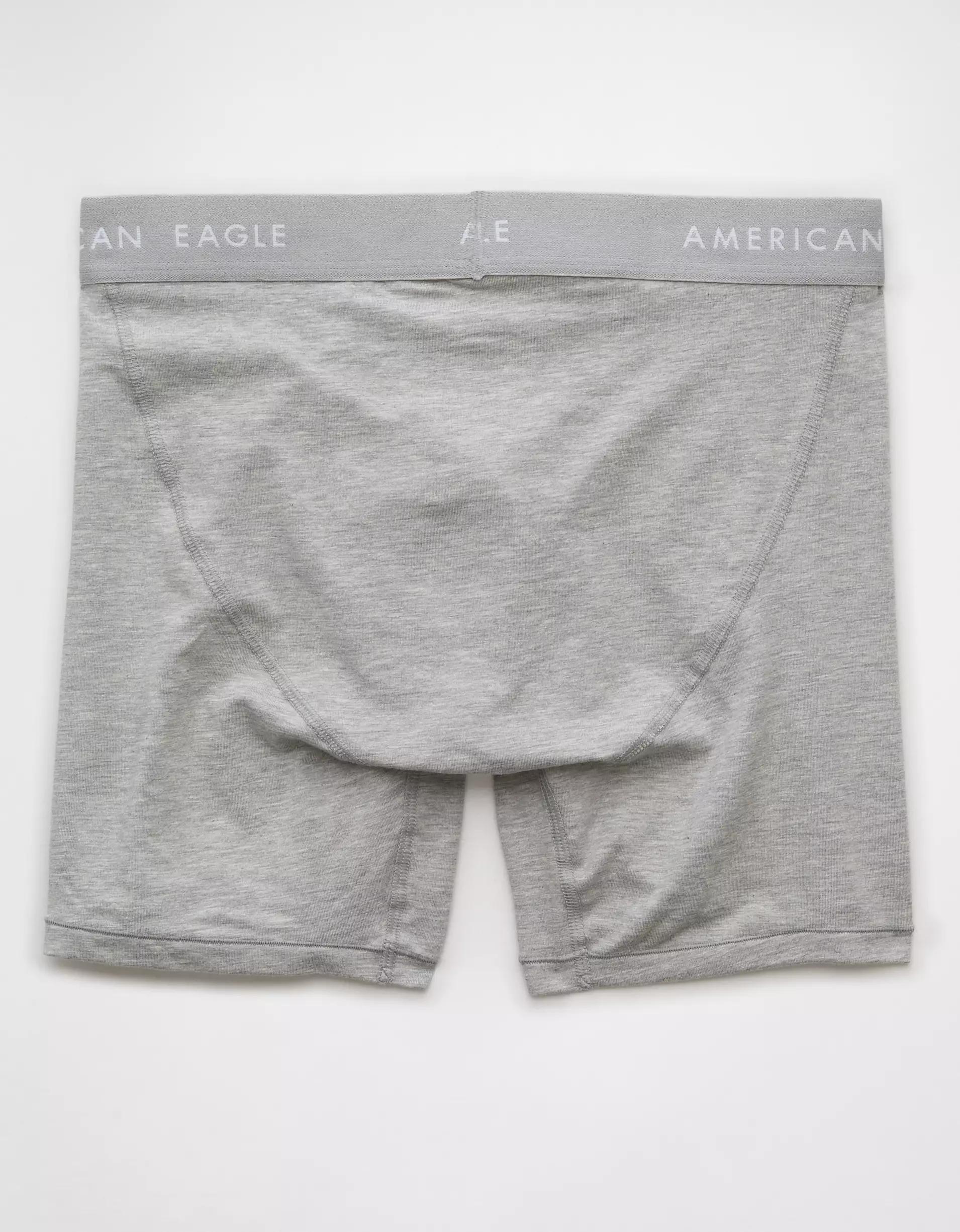 AEO Men's Money 6" Classic Boxer Brief Product Image