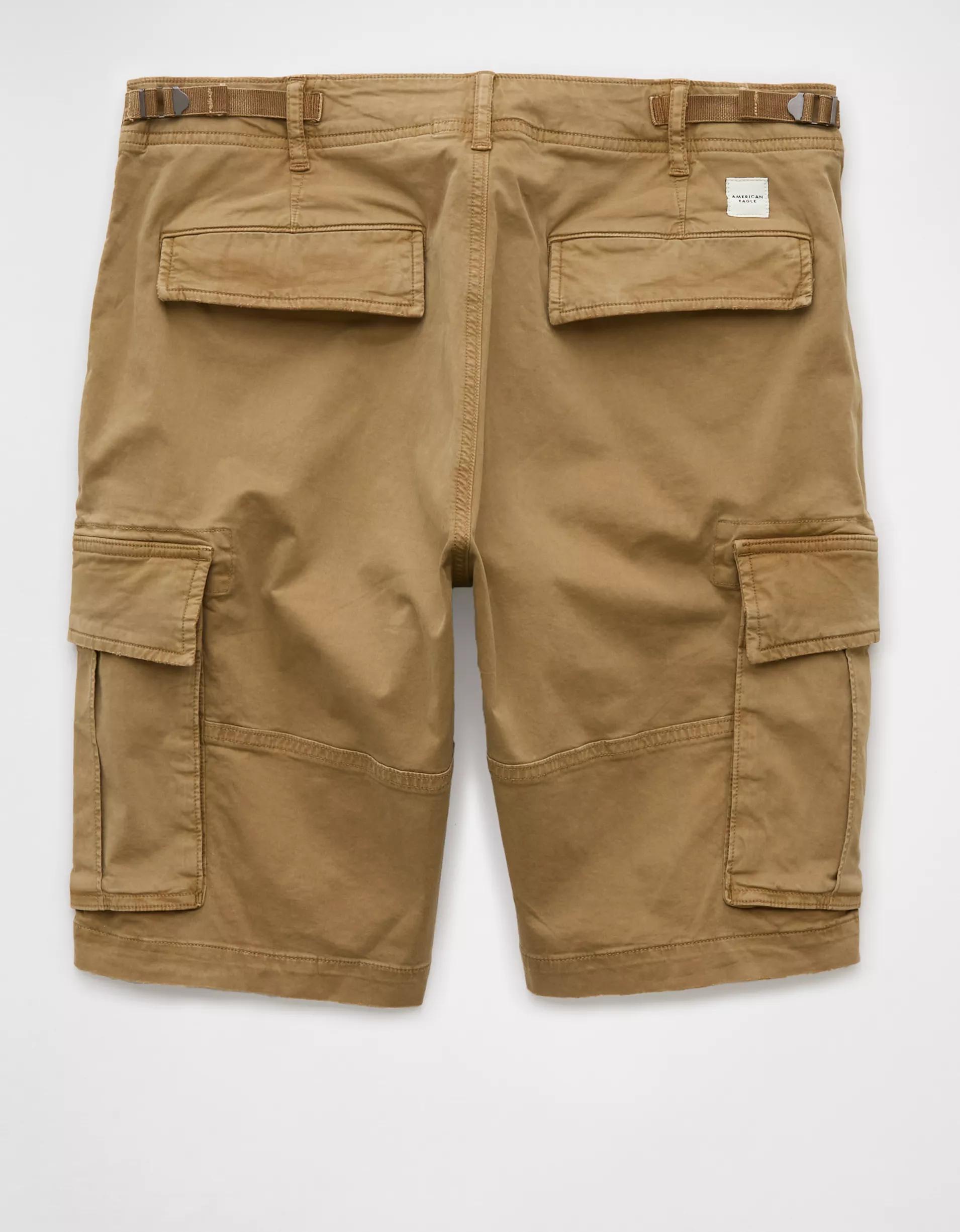 AE 10" Flex Lived-In Cargo Short Product Image