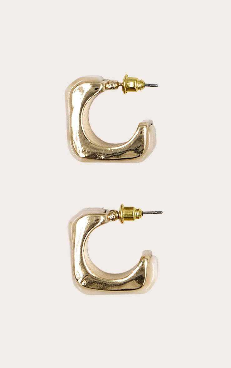 Gold Edged Enamel Hoop Earring Product Image