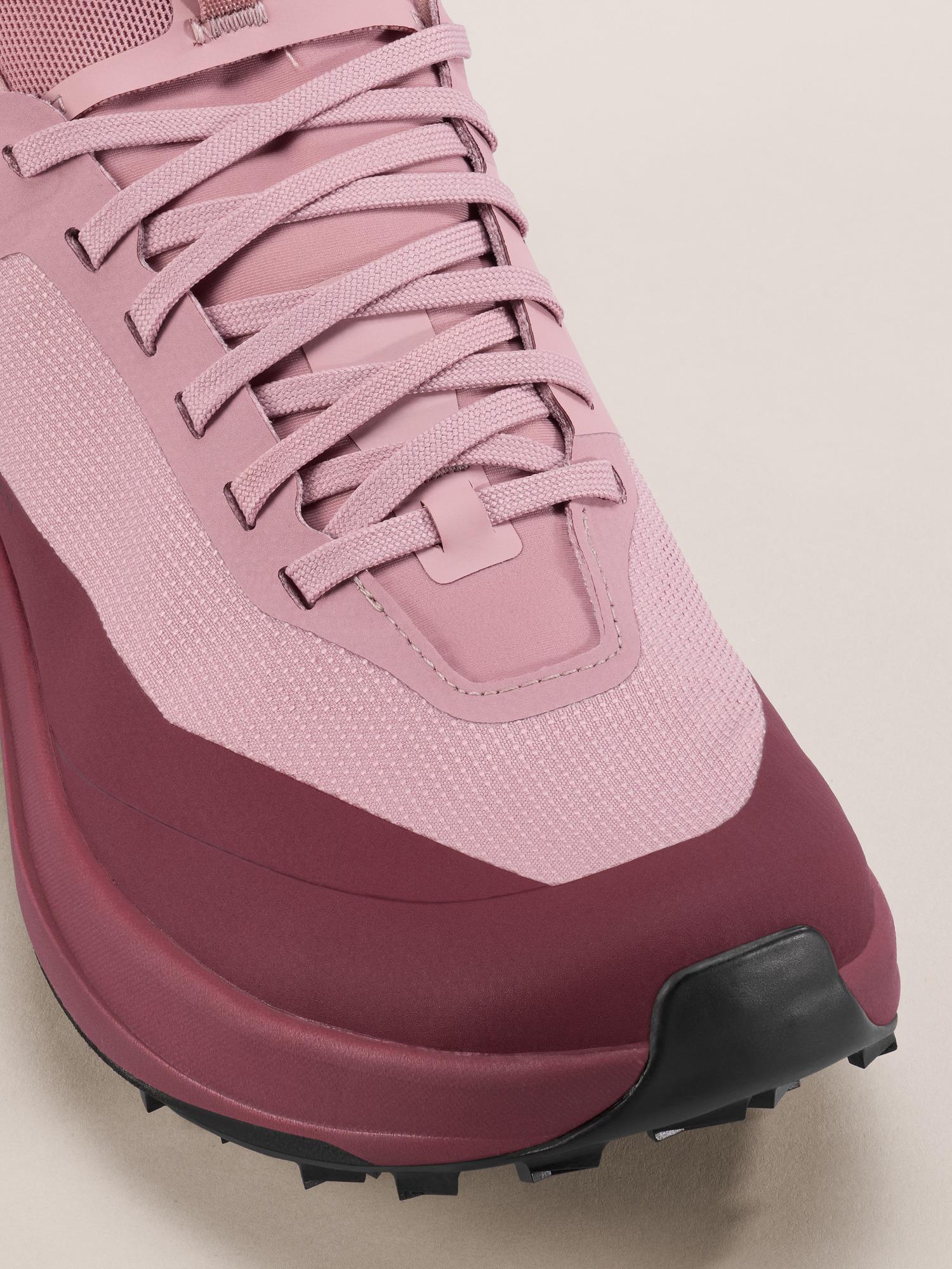 Sylan GTX Shoe Women's Product Image