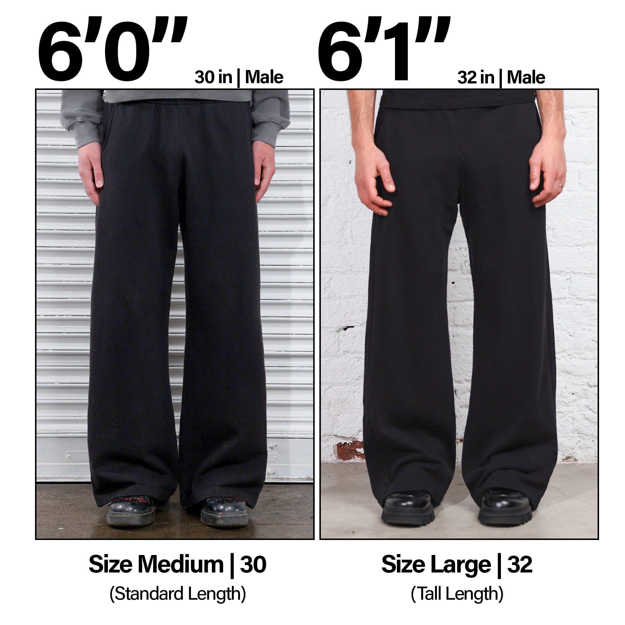 Lafayette Studio Pants (Sweats) Product Image
