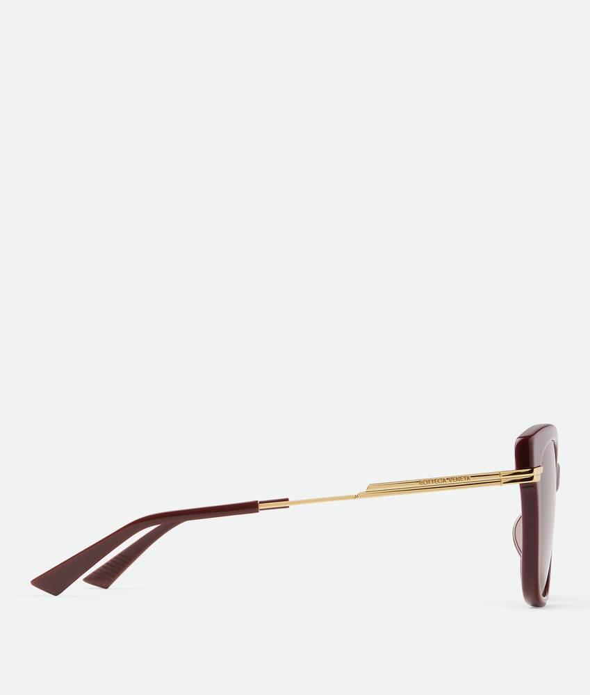 Women's Classic Square Sunglasses in Burgundy/brown Product Image