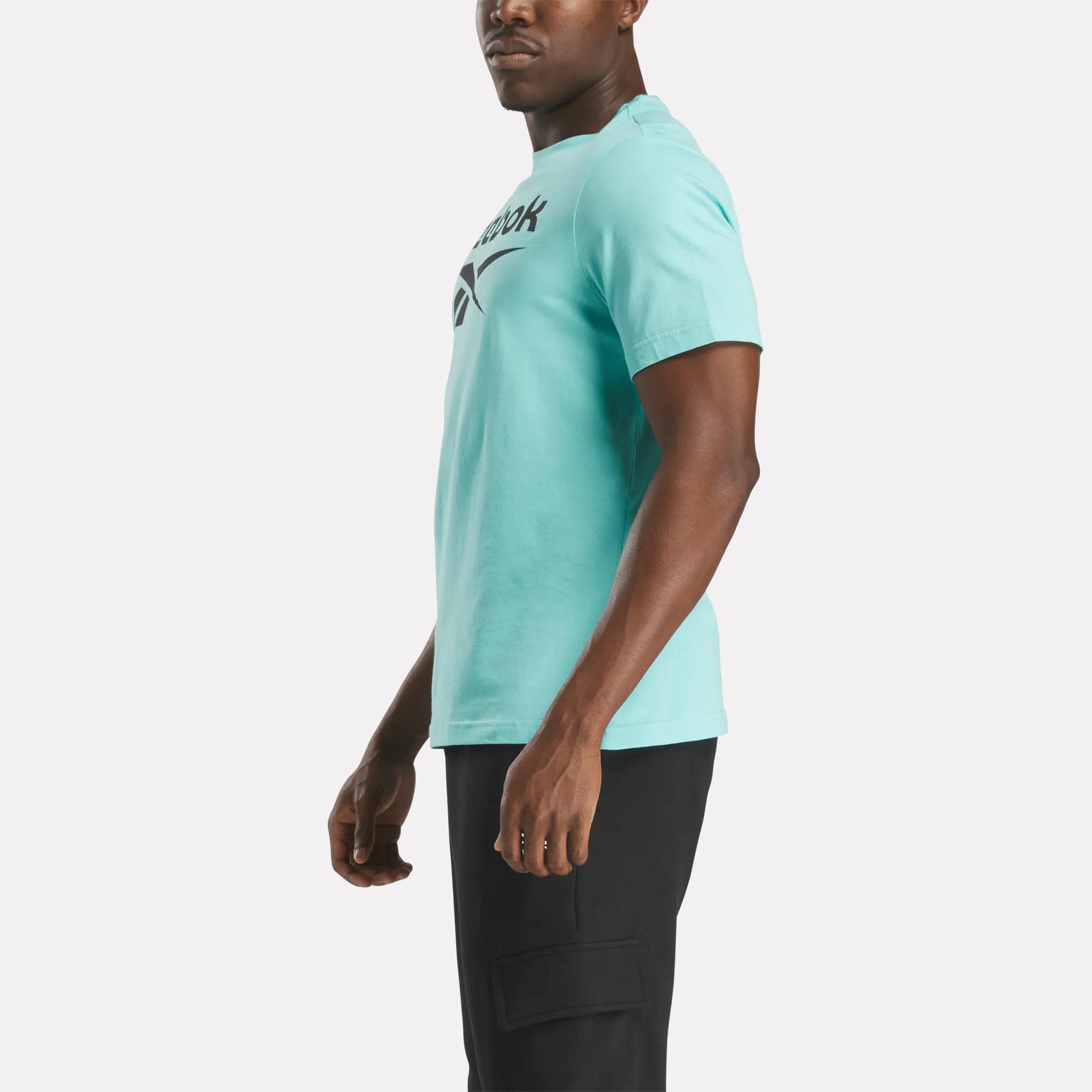 Men's Reebok Identity Big Stacked Logo T-Shirt Male Product Image