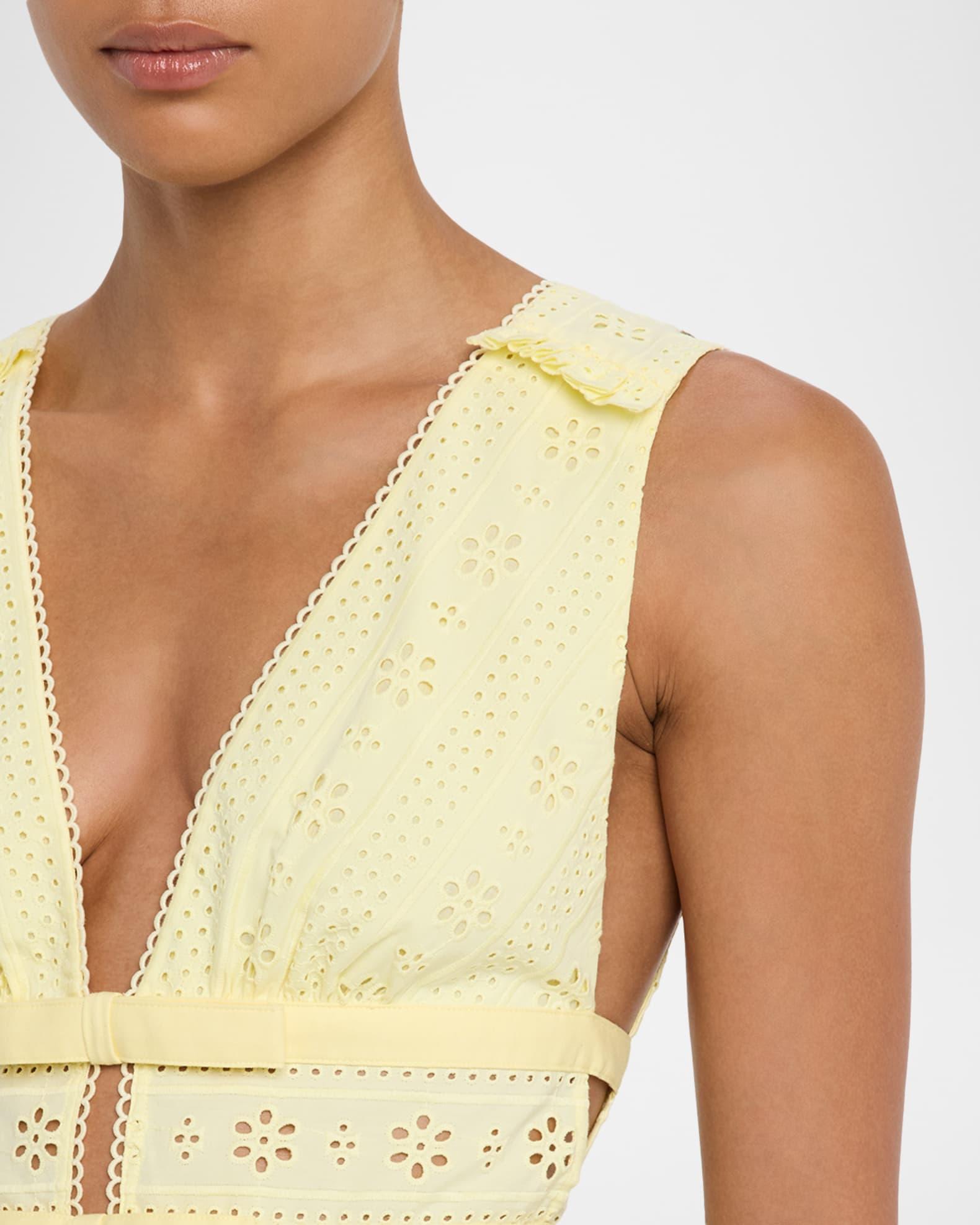 Embroidered Cotton Mini Dress Product Image