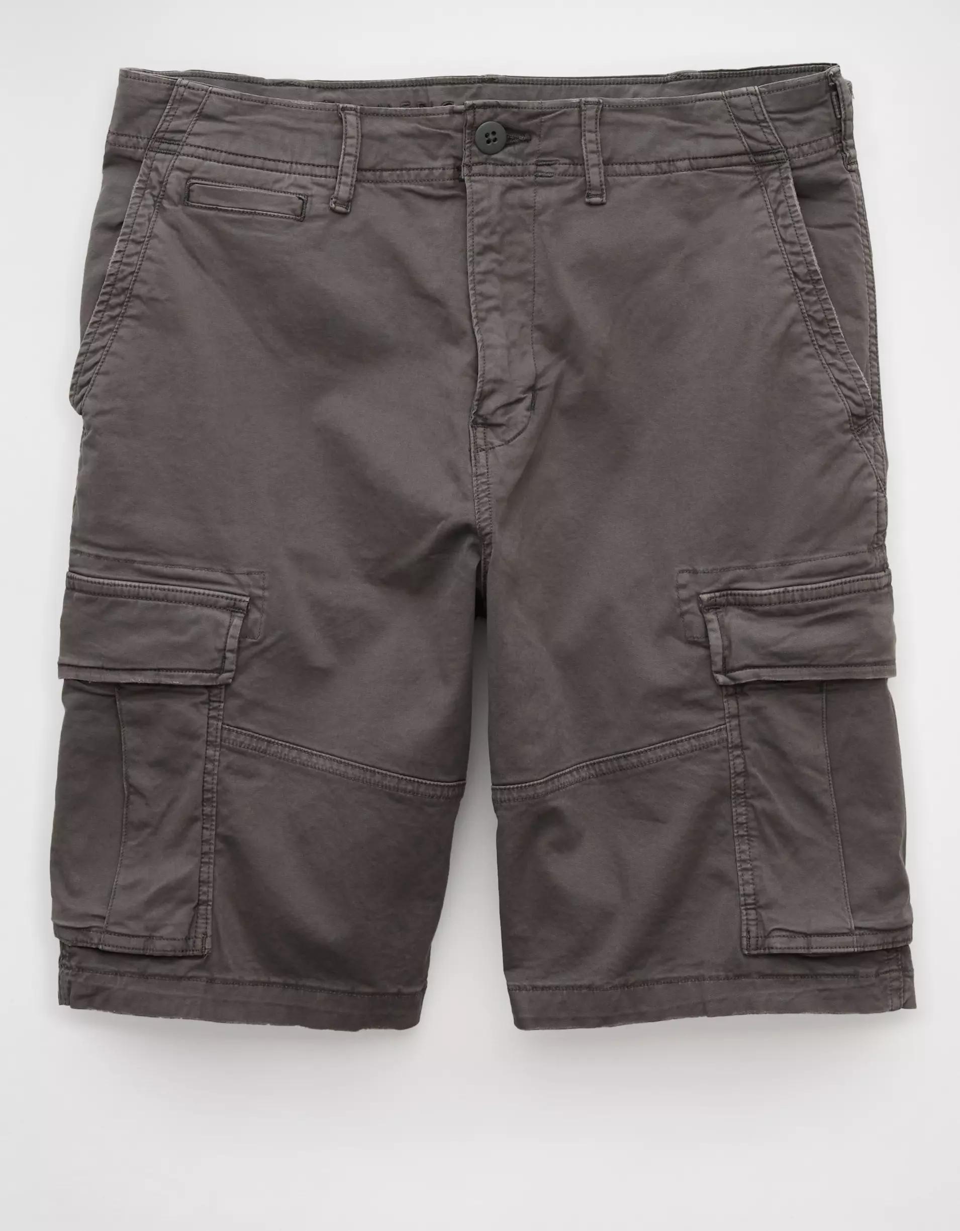 AE 10" Flex Lived-In Cargo Short Product Image