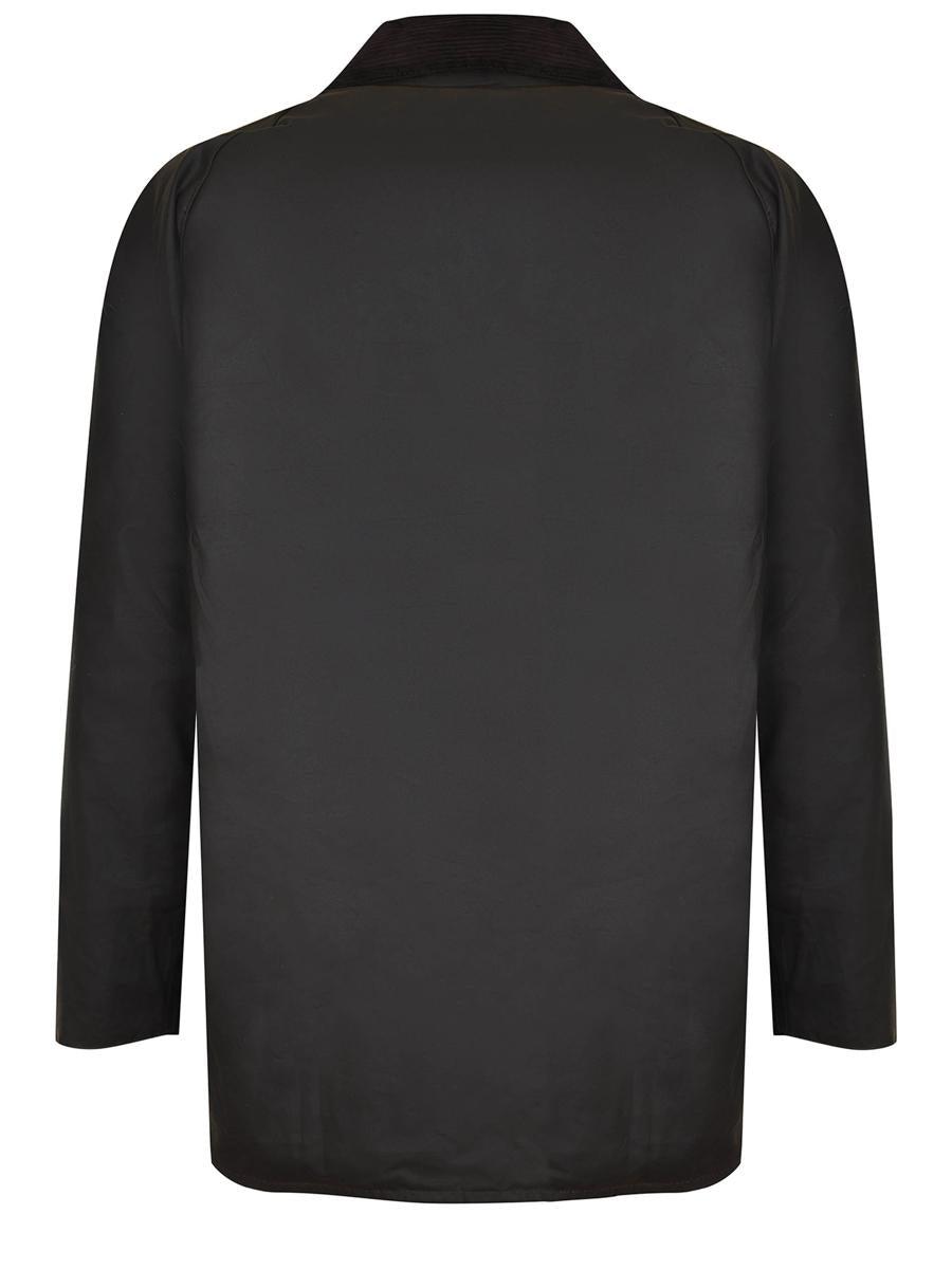 Ashby cotton jacket Product Image