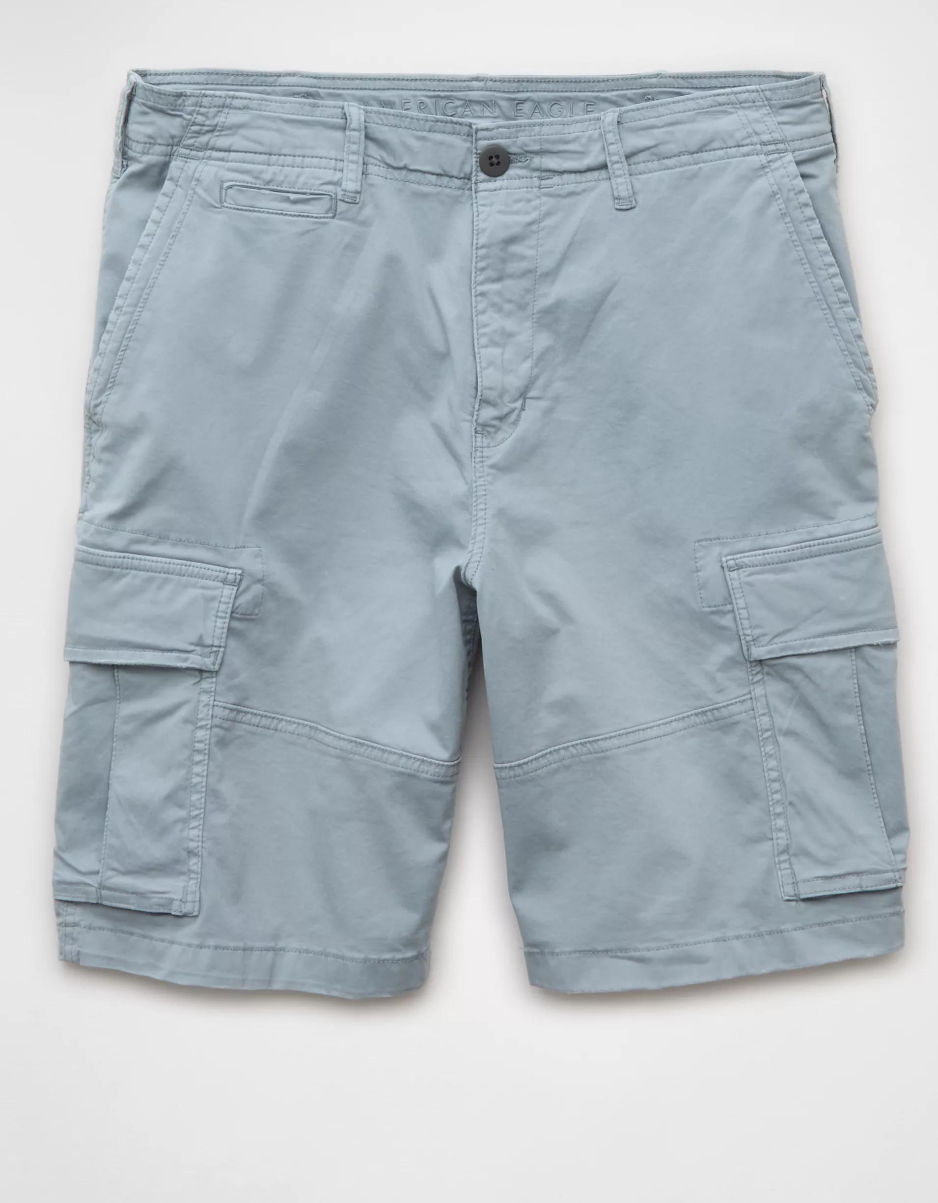 AE 10" Flex Lived-In Cargo Short Product Image