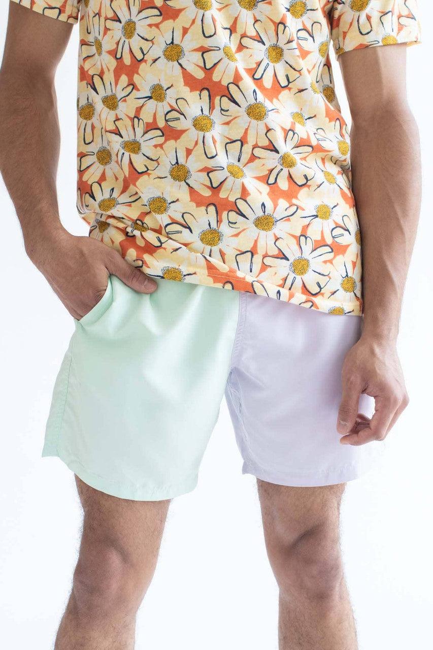 Pastel Purple & Mint Color Blocked Swim Shorts Product Image