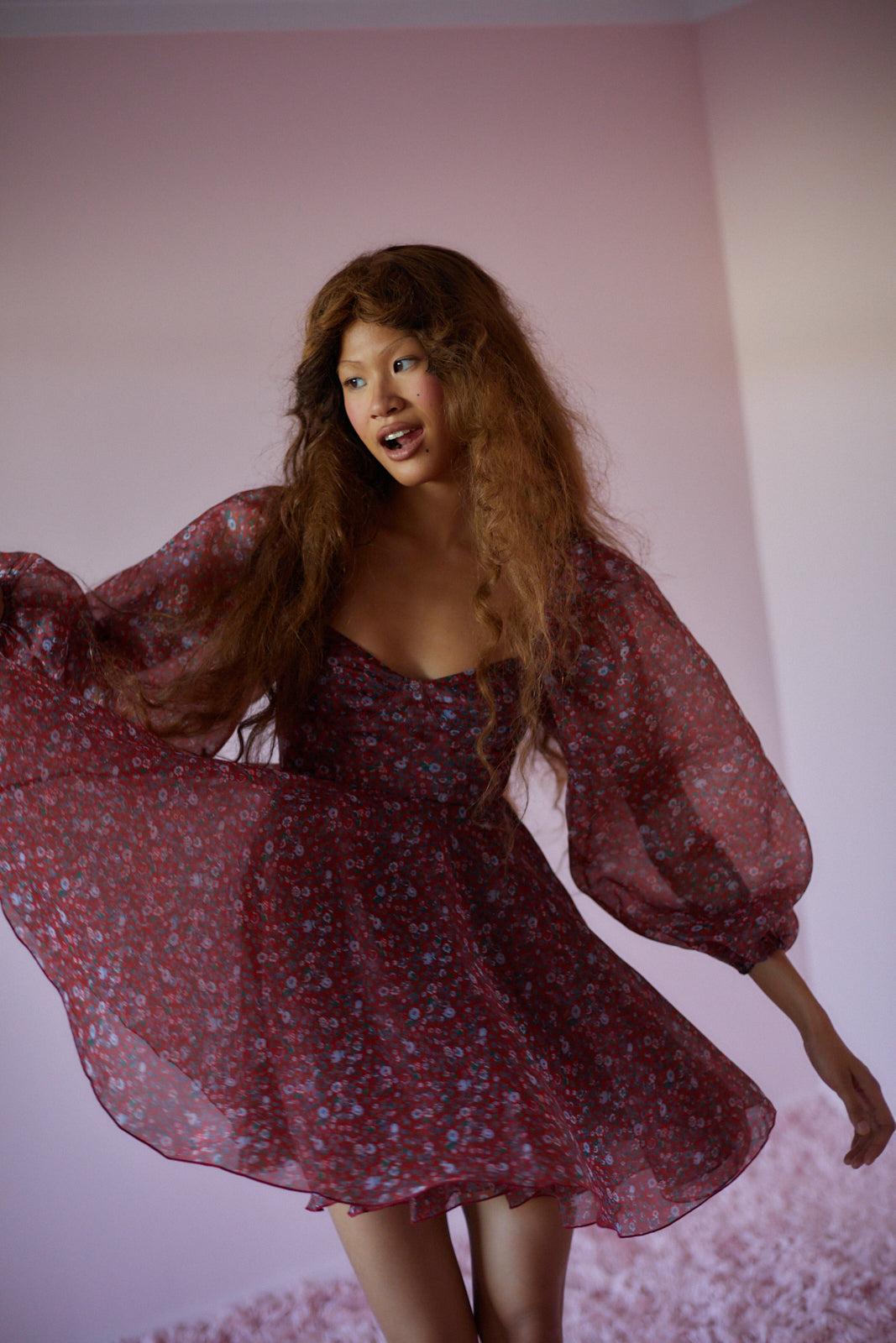 The Crimson Princess Dress Product Image