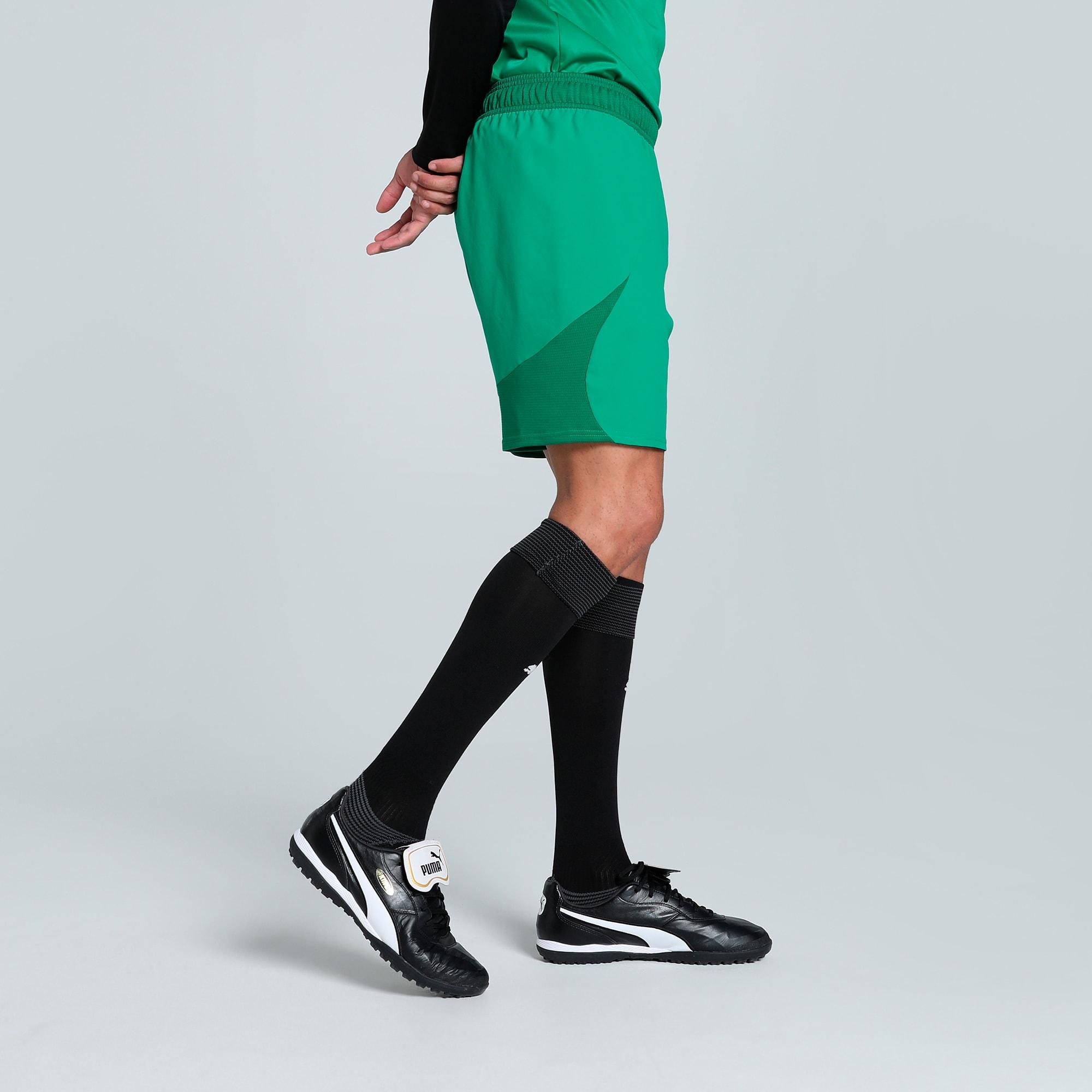 teamFINAL Men's Soccer Shorts Product Image
