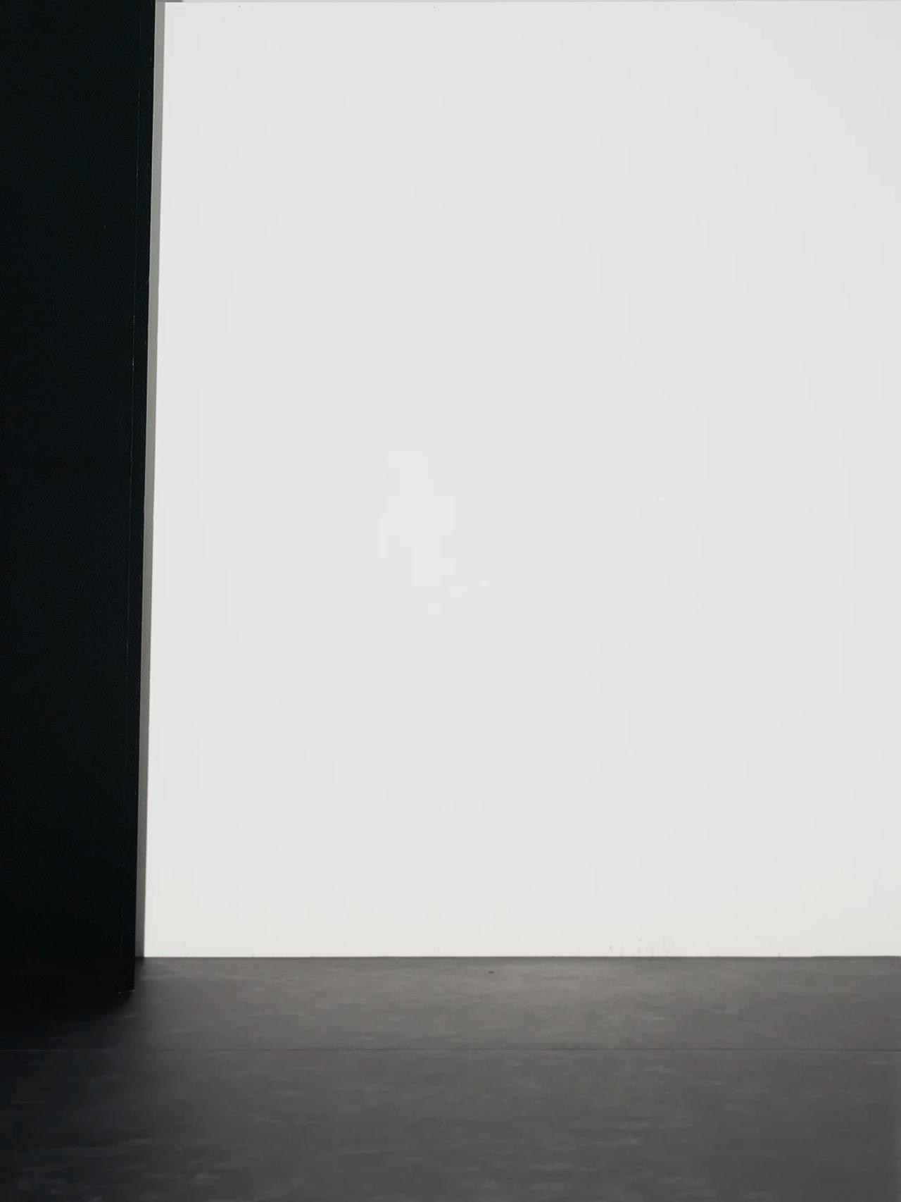 Wide-leg flowing trousers with darts Product Image