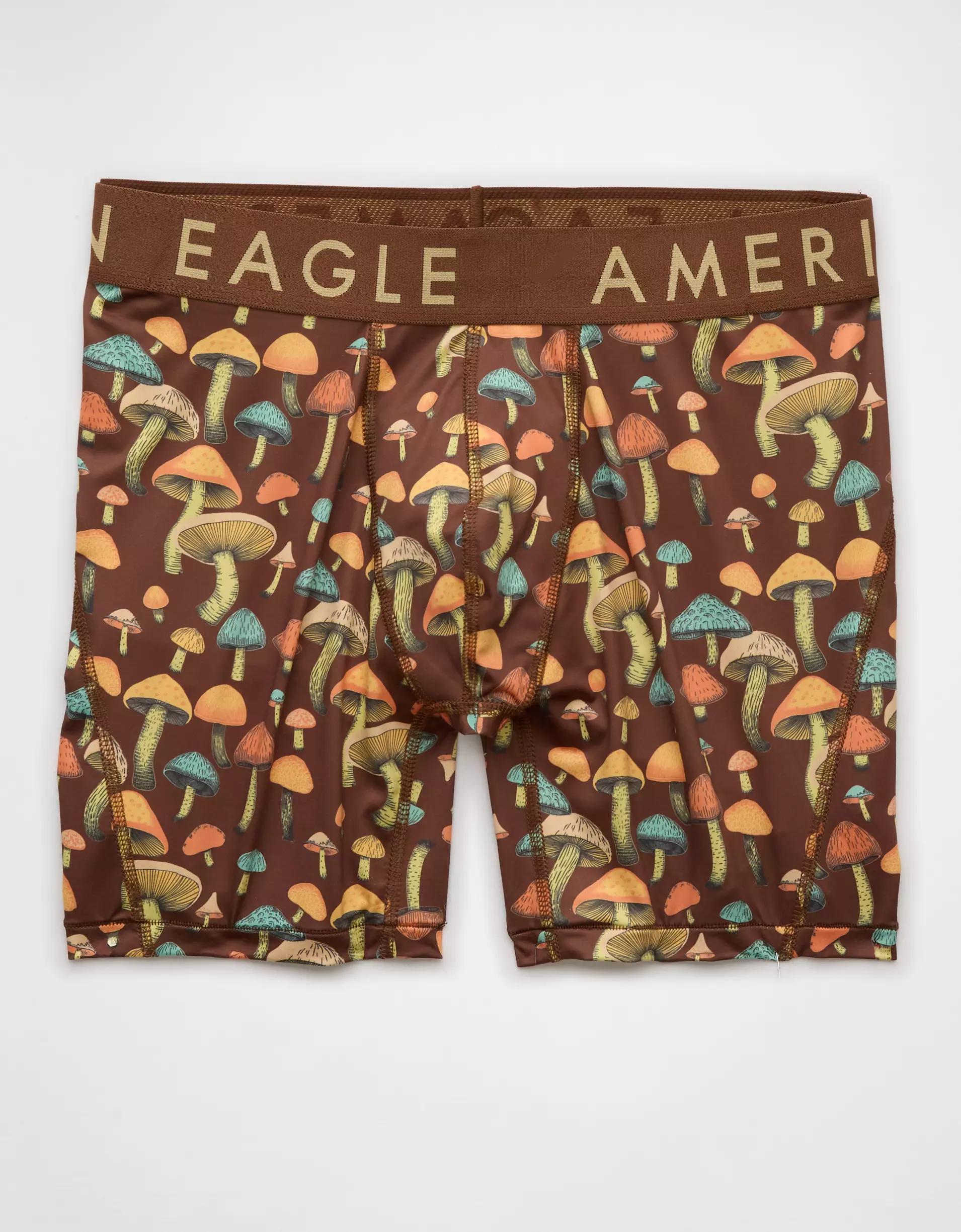 AEO Men's Money 6" Flex Boxer Brief Product Image
