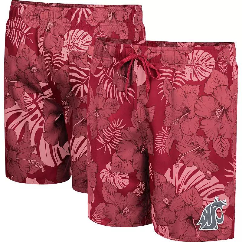 Men's Colosseum Cardinal Arkansas Razorbacks The Dude Swim Shorts,  Product Image