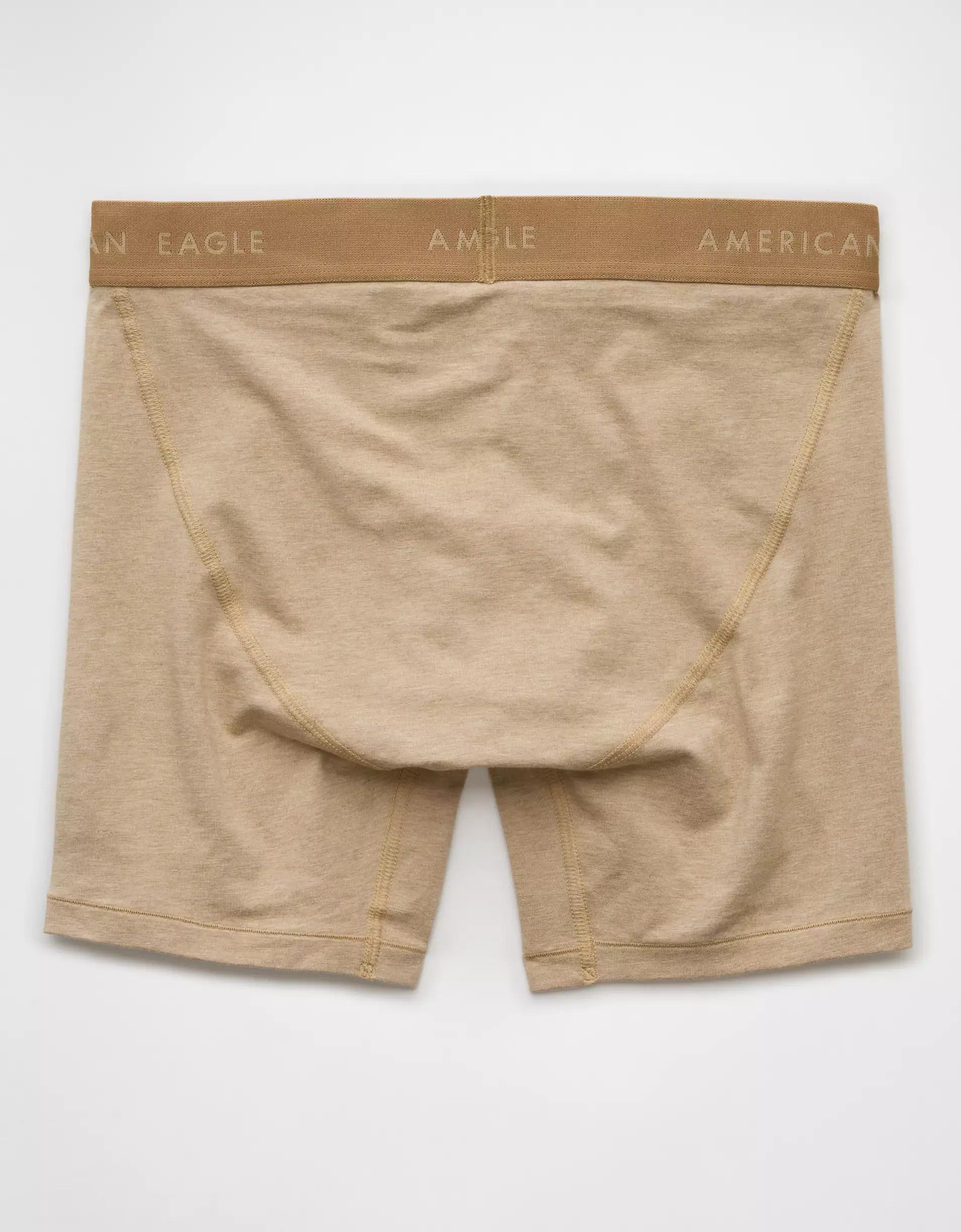 AEO Men's 6" Classic Boxer Brief Product Image