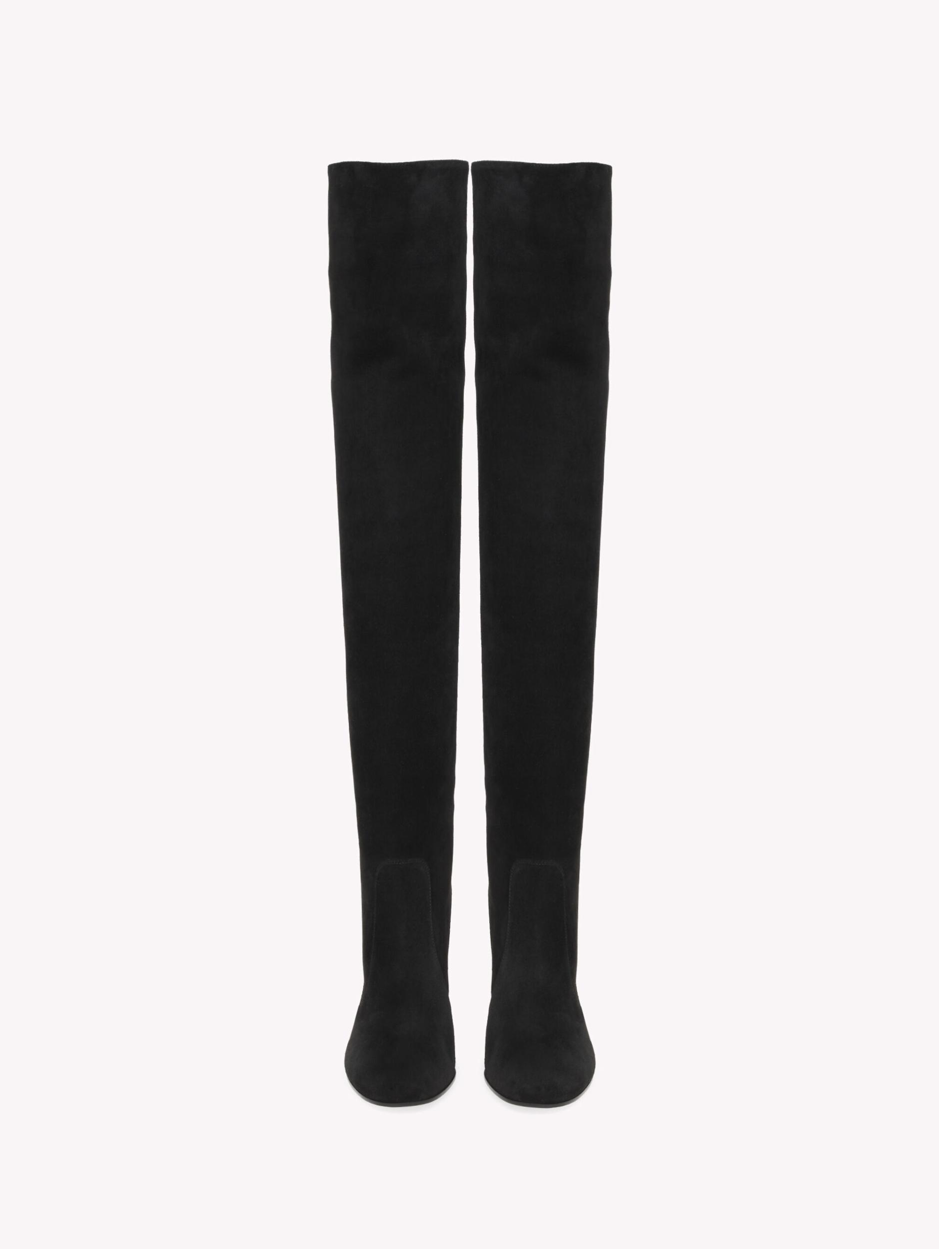 GLEN CUISSARD Gianvito Rossi Product Image