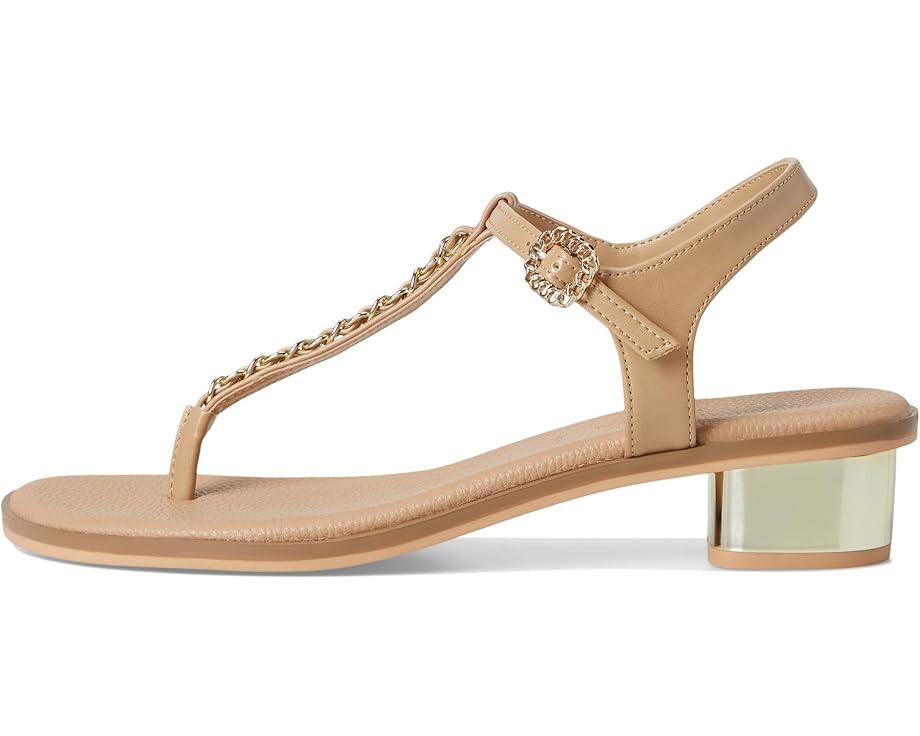 MSRP: $79(10% OFF) Product Image