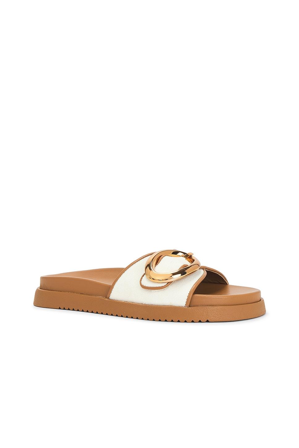 Mandie Slides Steve Madden Product Image