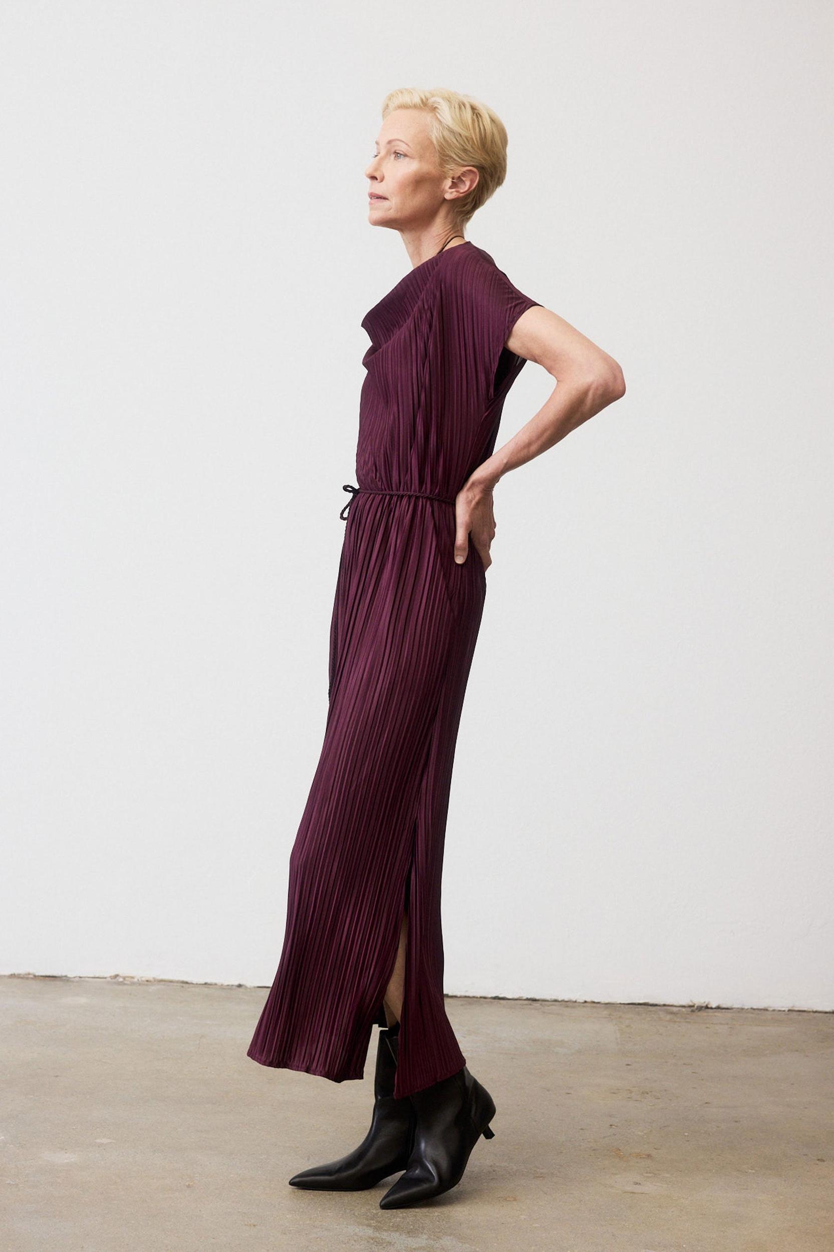 Draped Pleated Maxi Dress Product Image