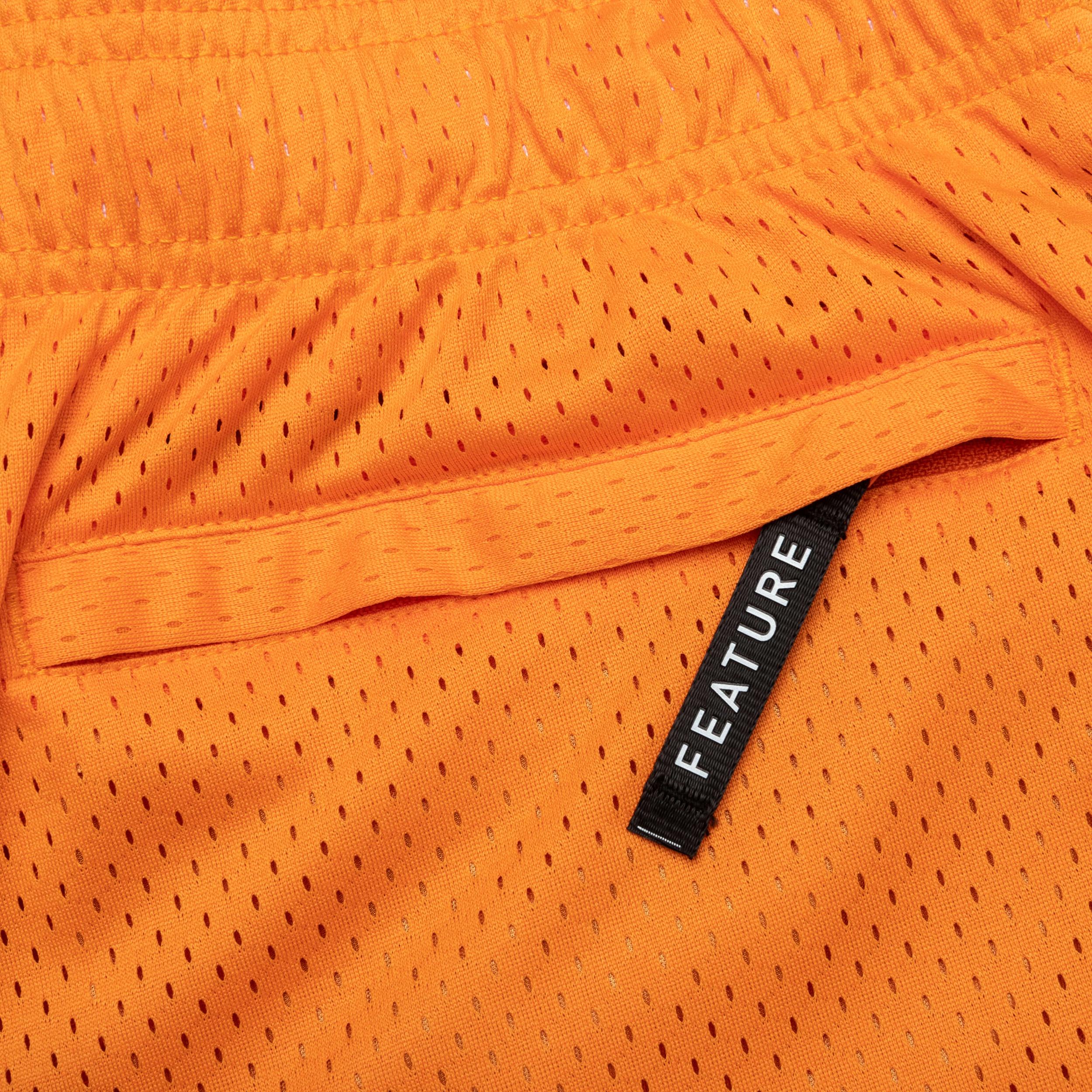 West Mesh Shorts - Crimson Male Product Image