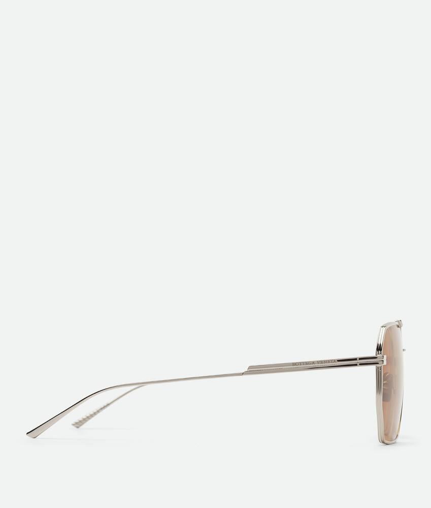 Men's Classic Aviator Sunglasses in Silver / Brown Product Image